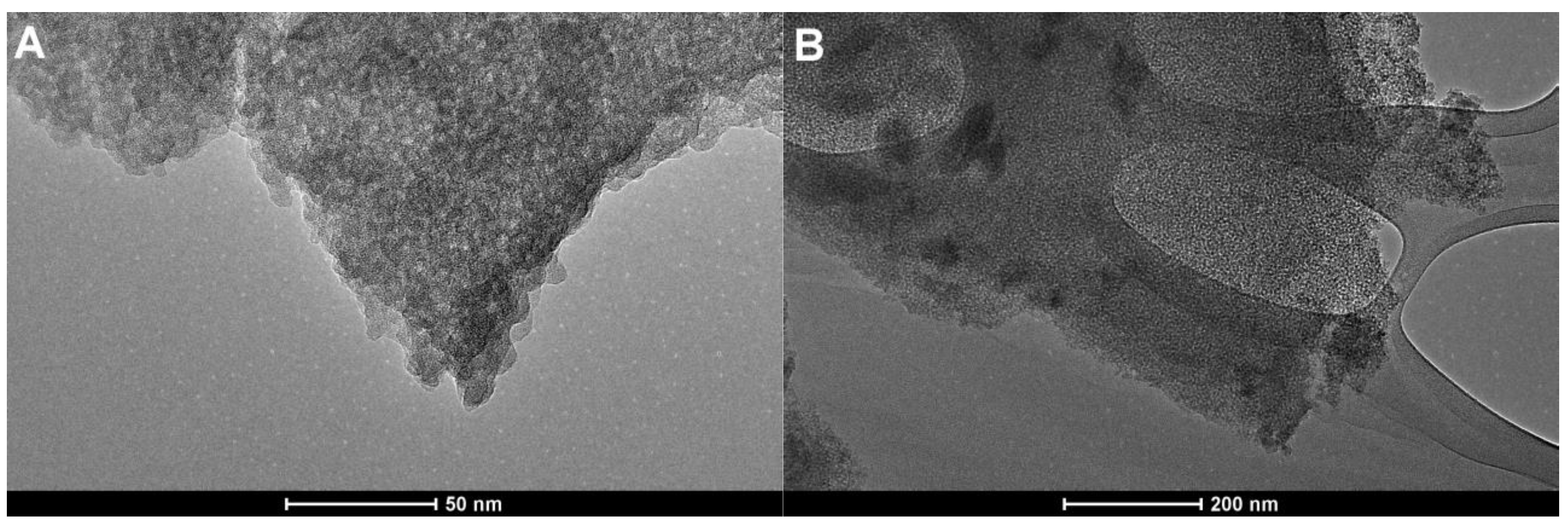 Ijms 26 09255 g007a Ijms 26 09255 g007a