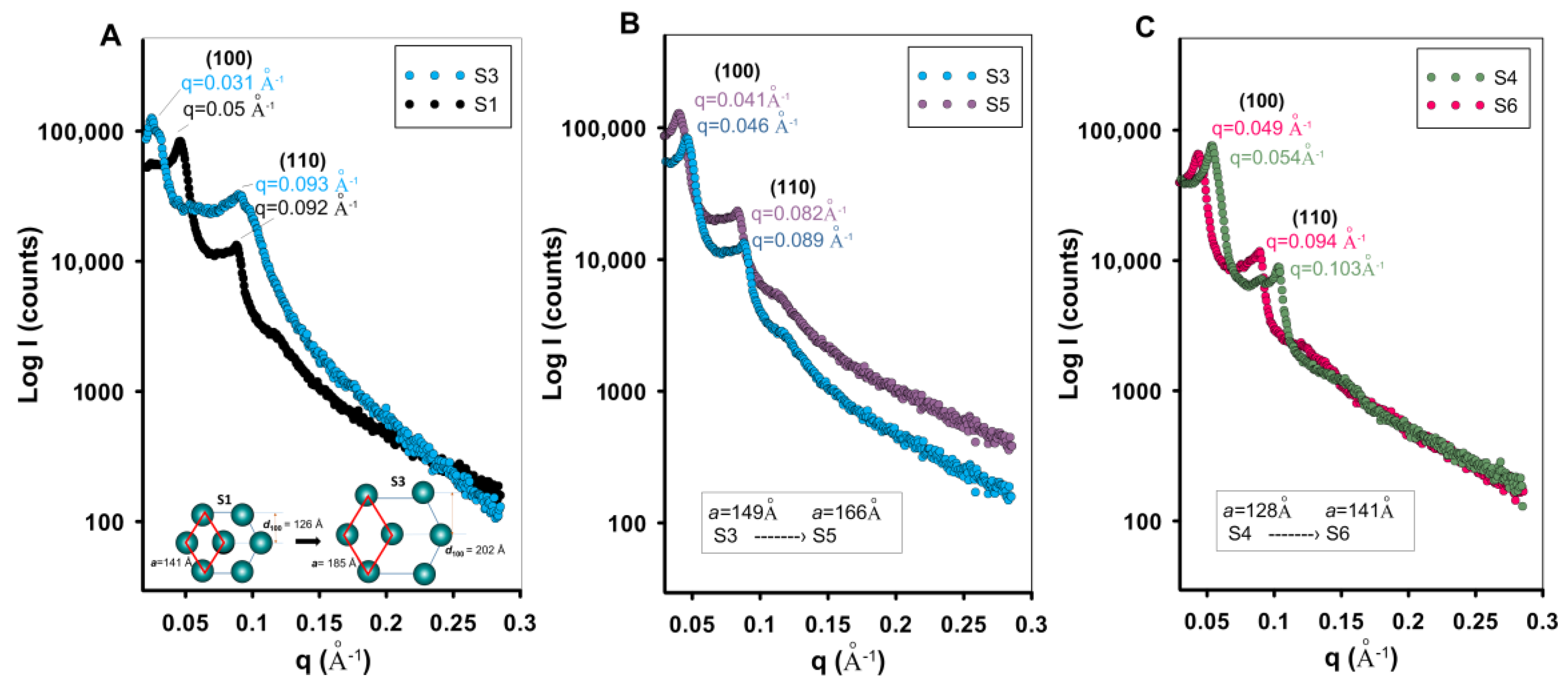 Ijms 26 09255 g008 Ijms 26 09255 g008