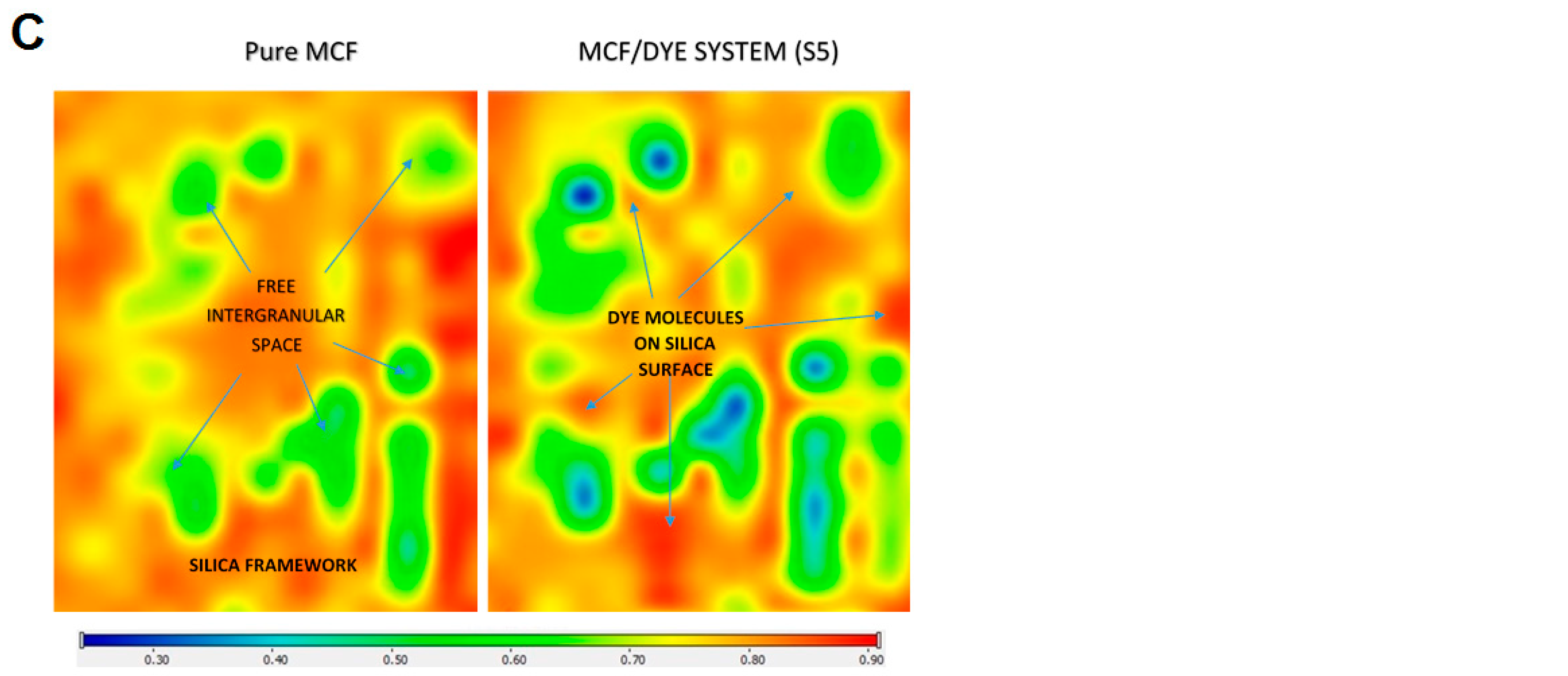 Ijms 26 09255 g013b Ijms 26 09255 g013b