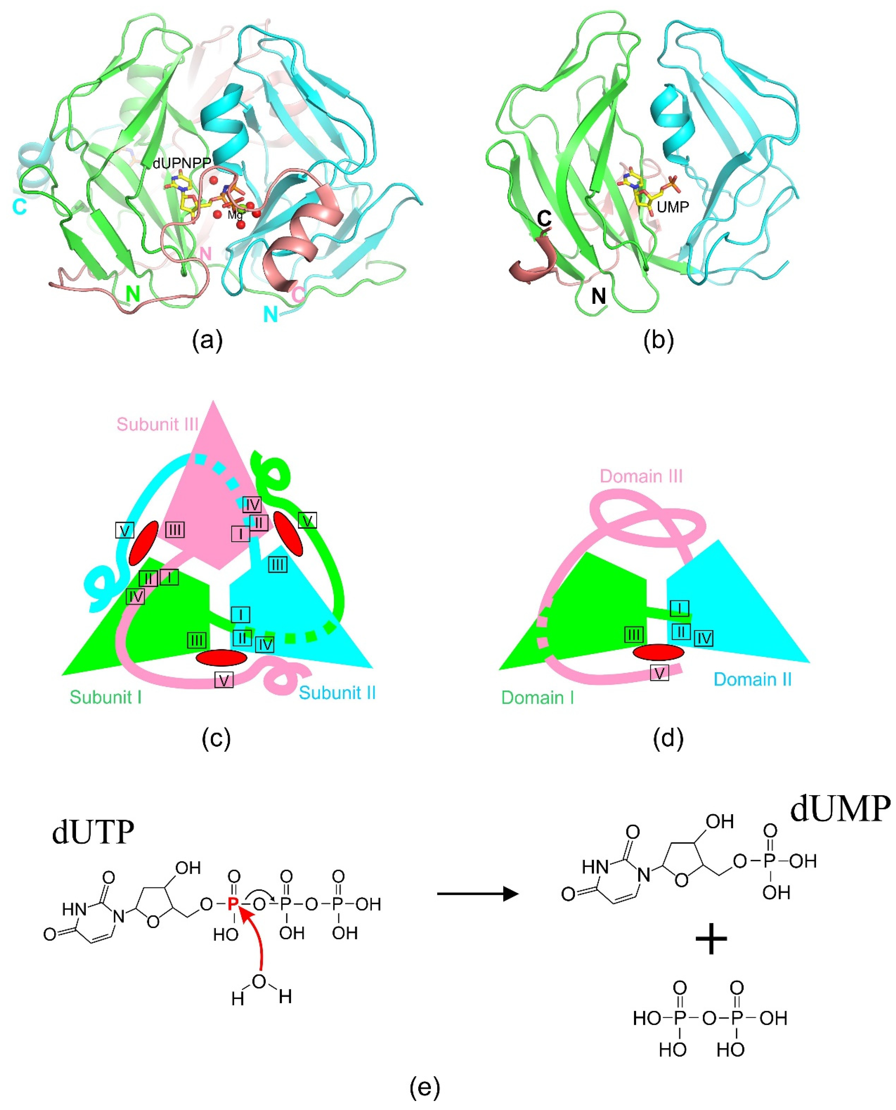 Ijms 26 09260 g002 Ijms 26 09260 g002
