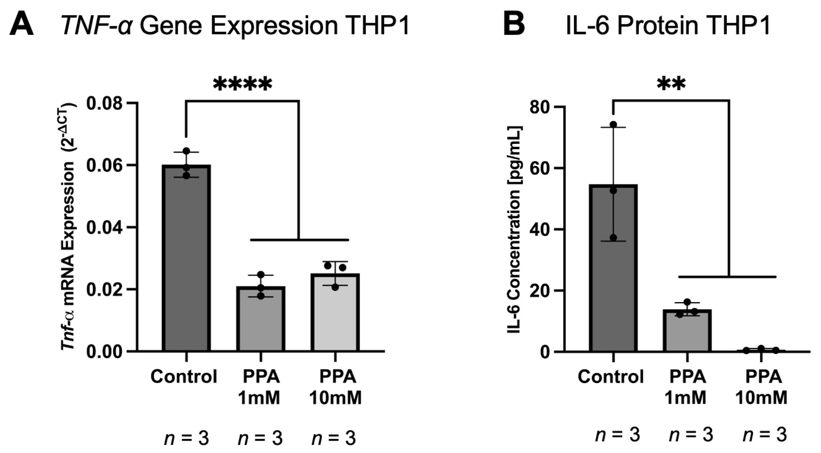 Ijms 26 09295 g006 Ijms 26 09295 g006