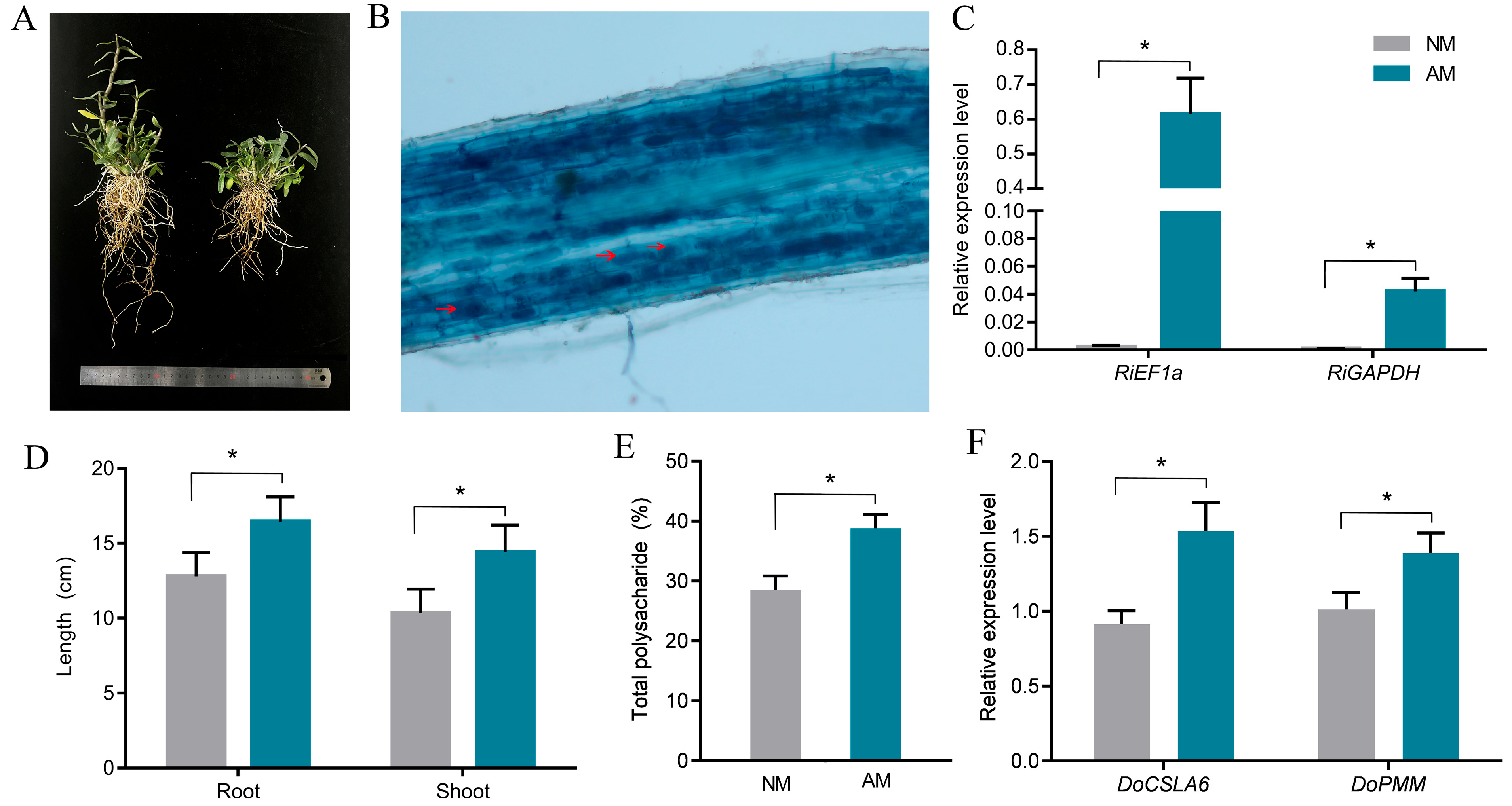 Ijms 26 09298 g001 Ijms 26 09298 g001