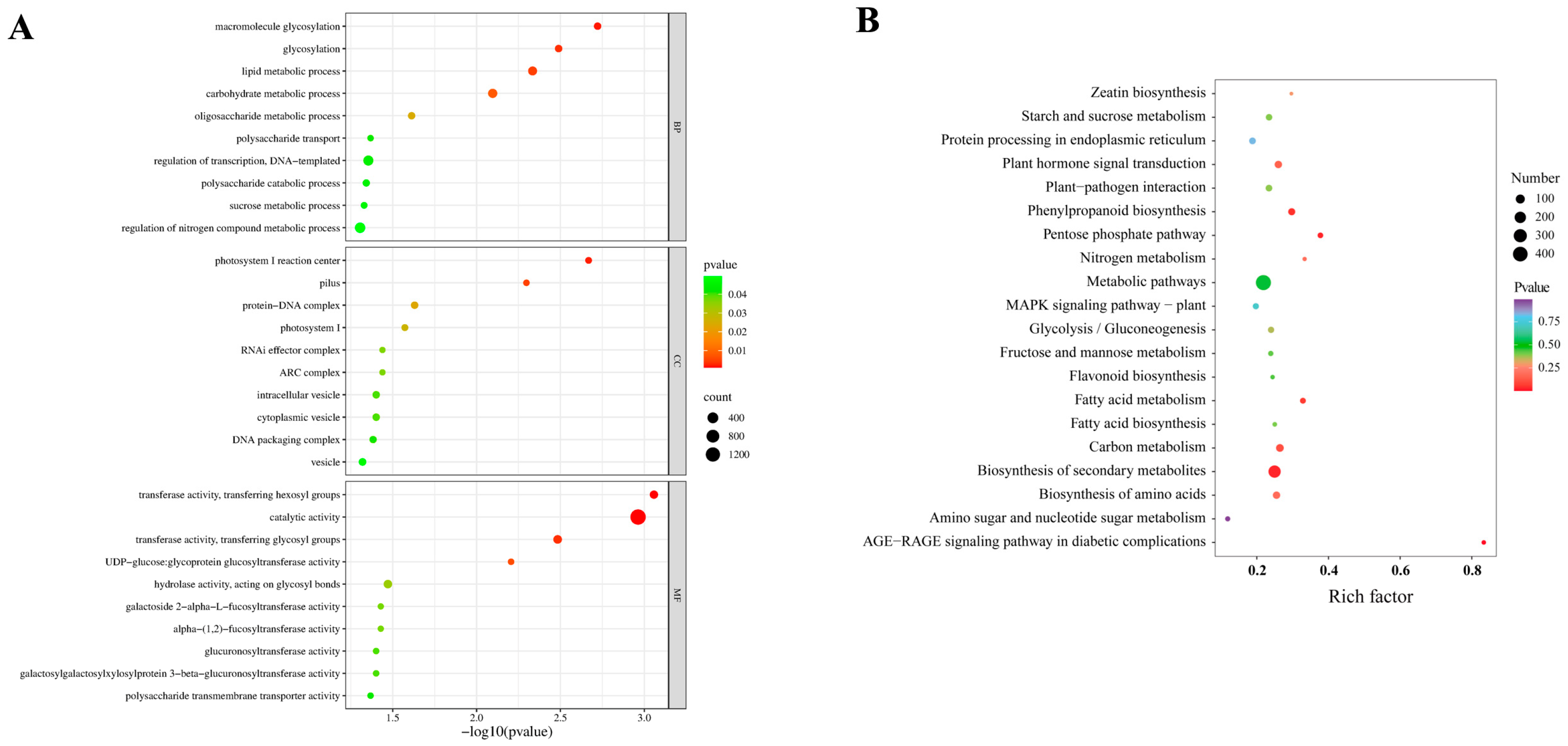 Ijms 26 09298 g003 Ijms 26 09298 g003