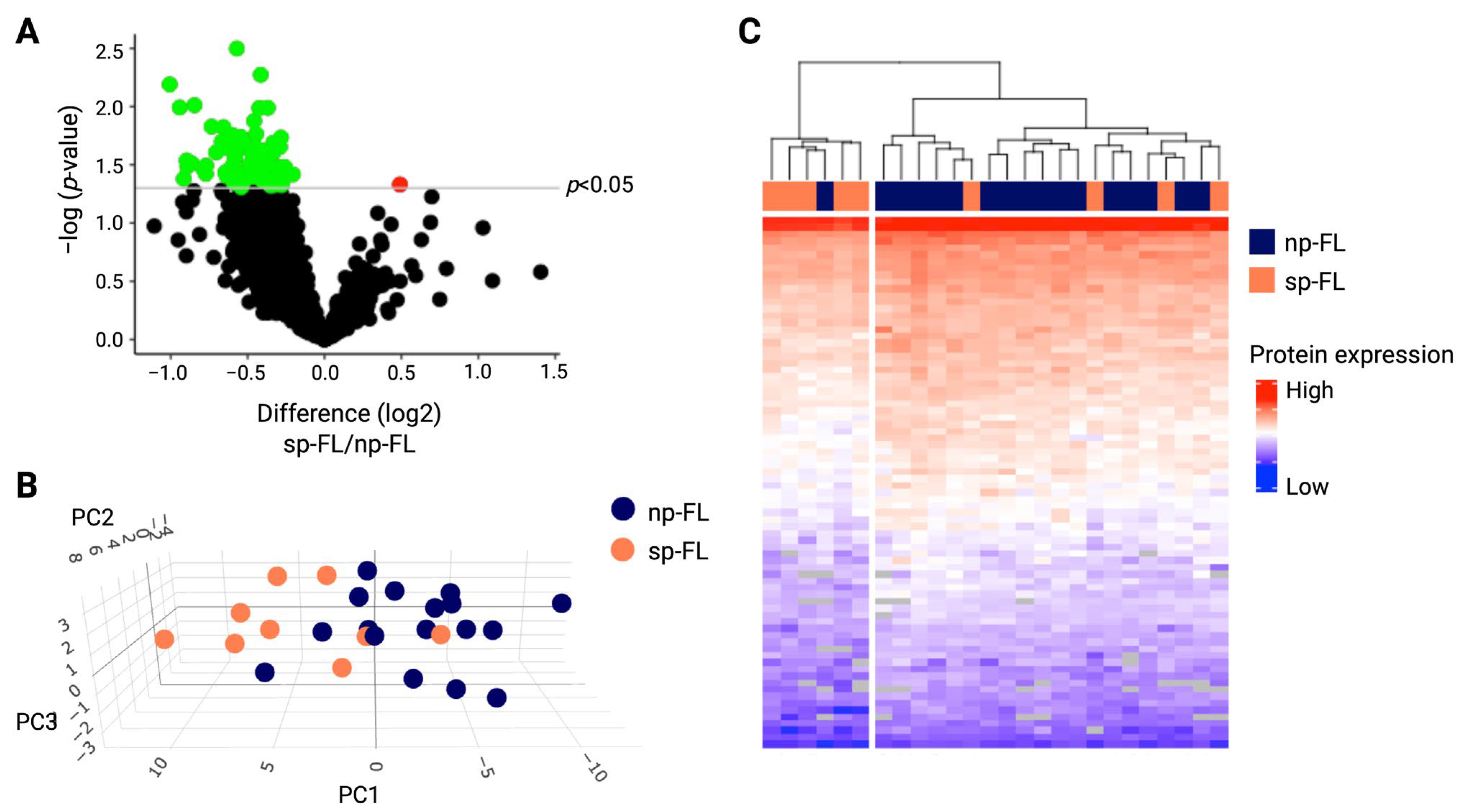 Ijms 26 09306 g001 Ijms 26 09306 g001