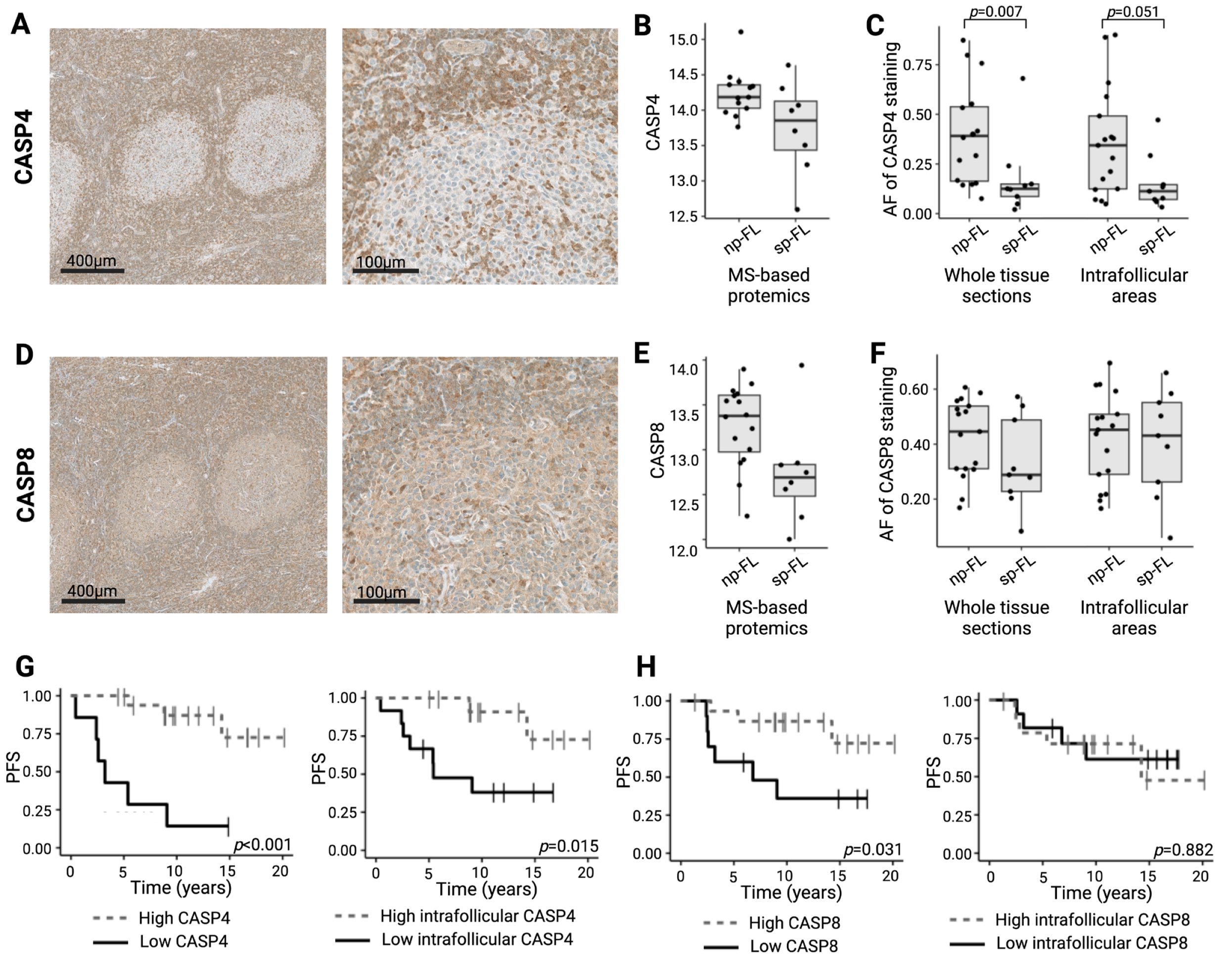 Ijms 26 09306 g002 Ijms 26 09306 g002