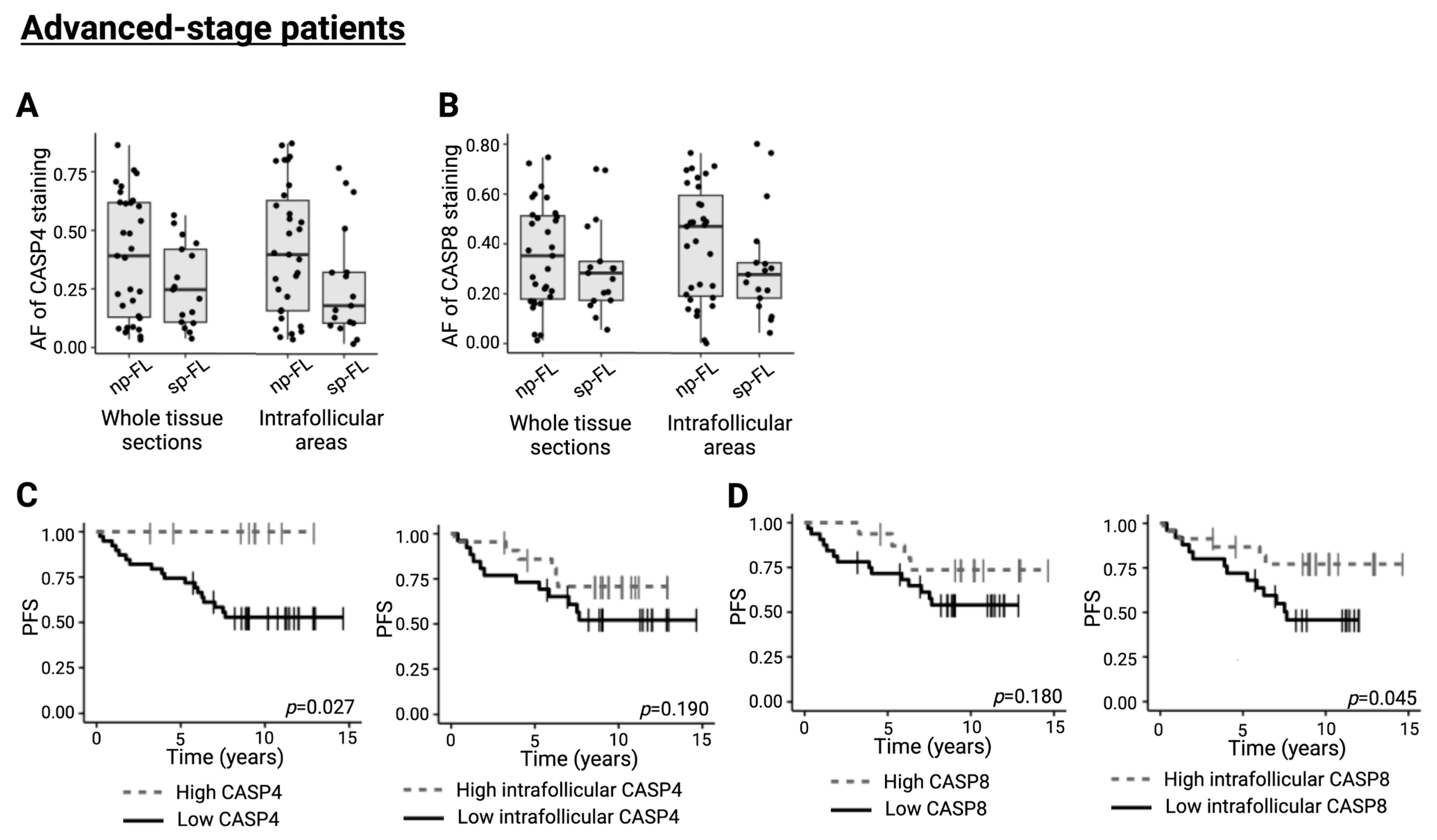 Ijms 26 09306 g003 Ijms 26 09306 g003