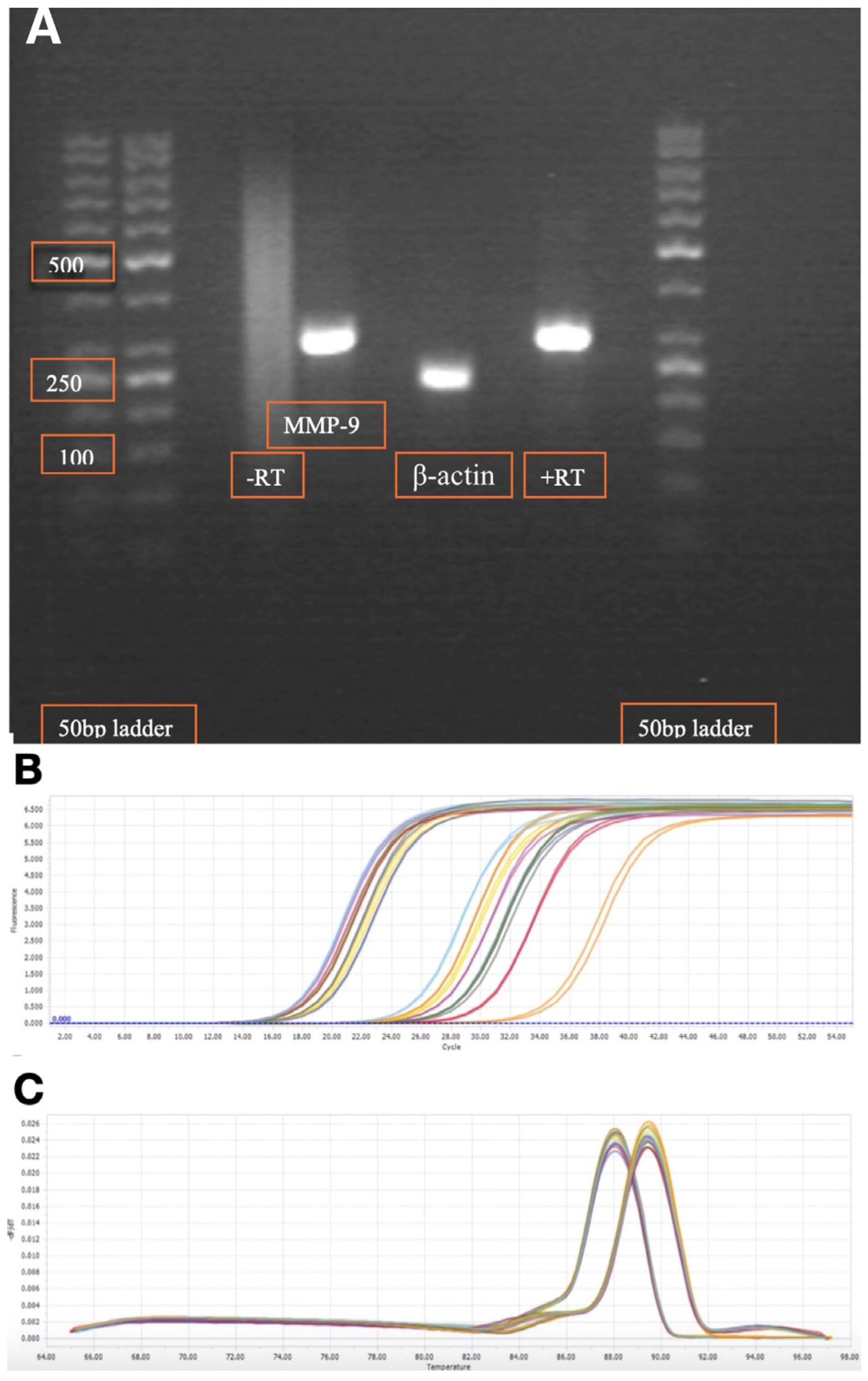 Ijms 26 09310 g002 Ijms 26 09310 g002