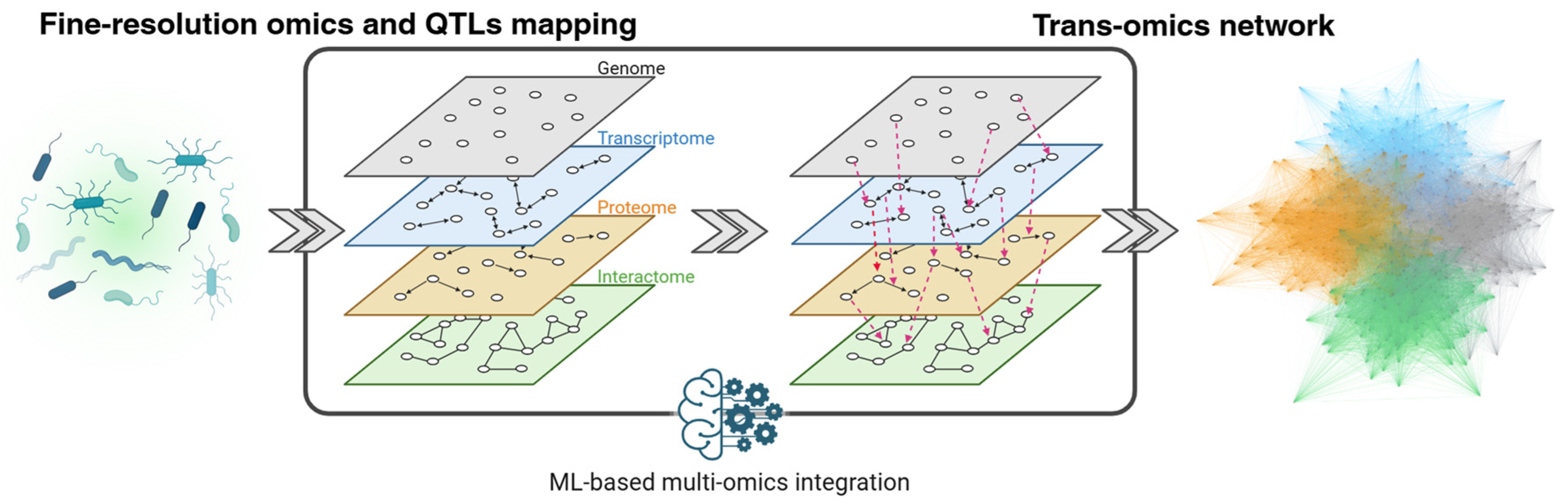 Ijms 26 09326 g002 Ijms 26 09326 g002