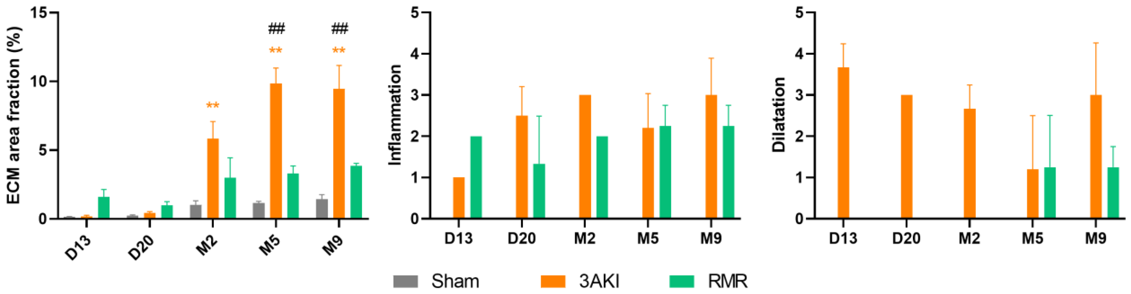 Ijms 26 09336 g003 Ijms 26 09336 g003