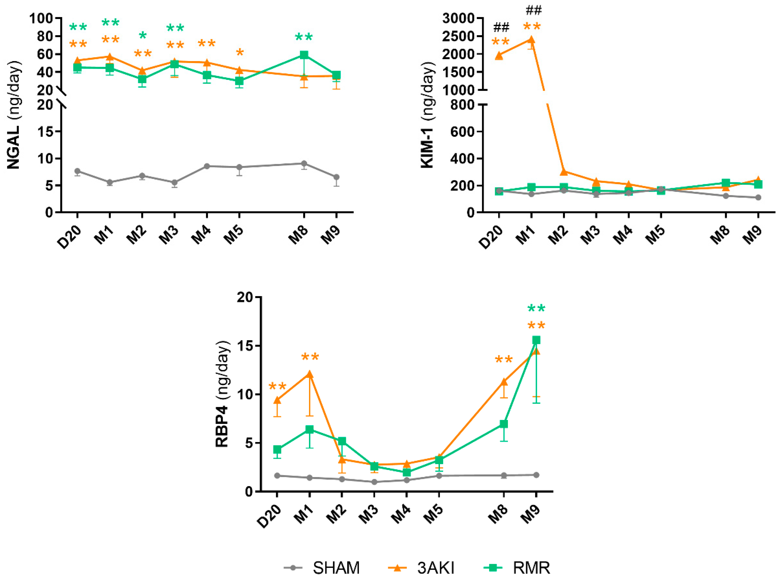 Ijms 26 09336 g006 Ijms 26 09336 g006