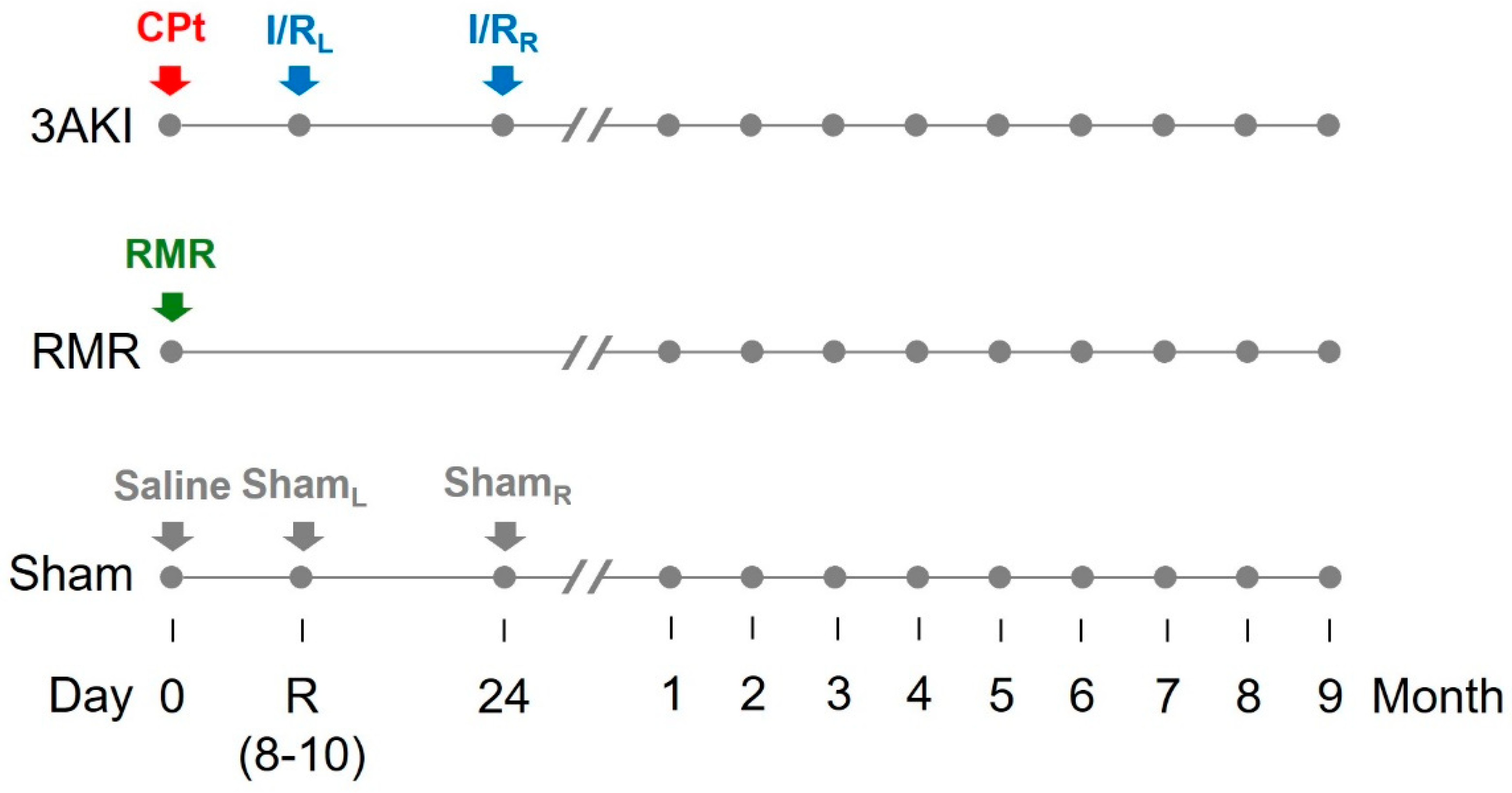Ijms 26 09336 g007 Ijms 26 09336 g007