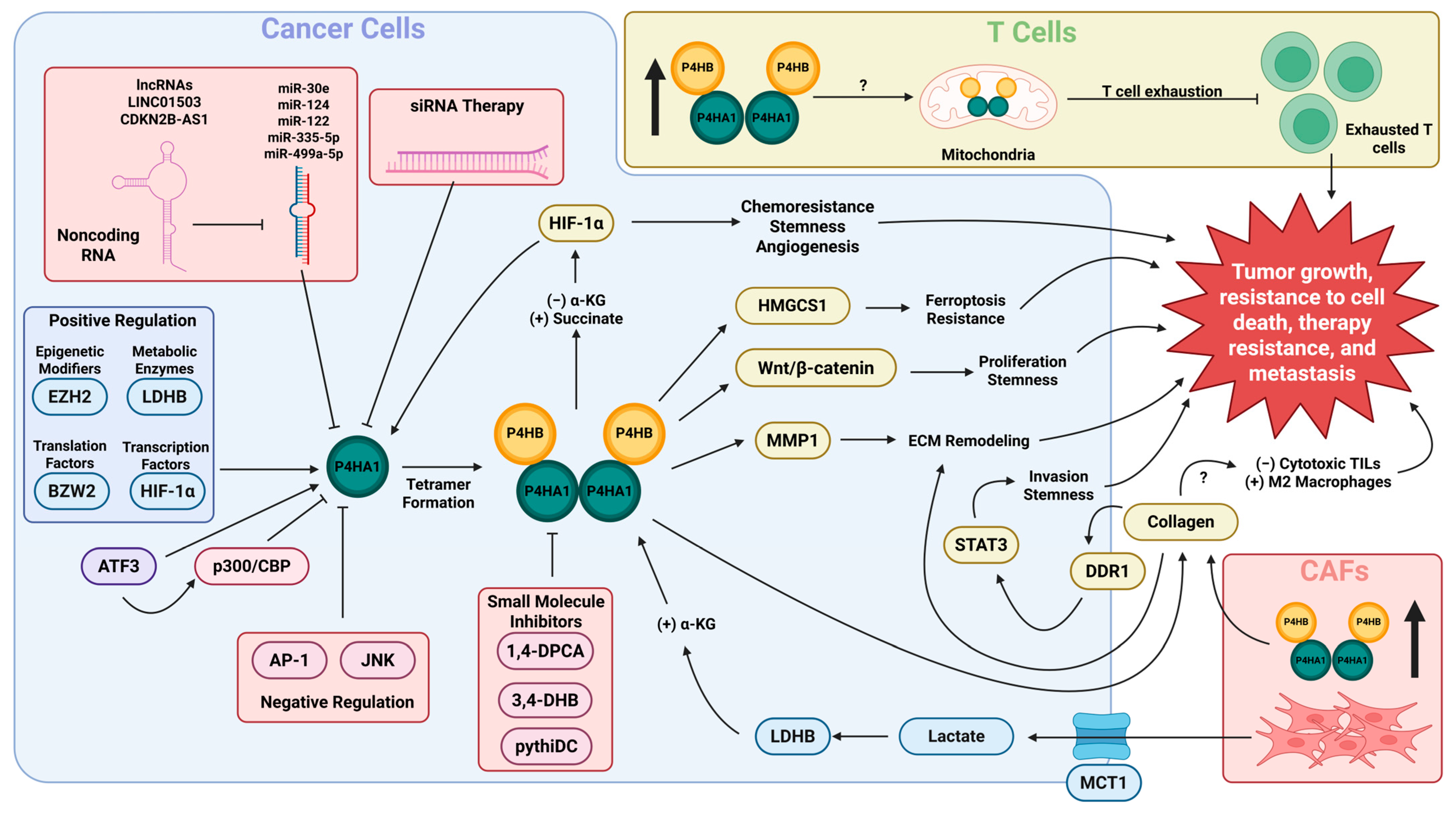 Ijms 26 09371 g002 Ijms 26 09371 g002