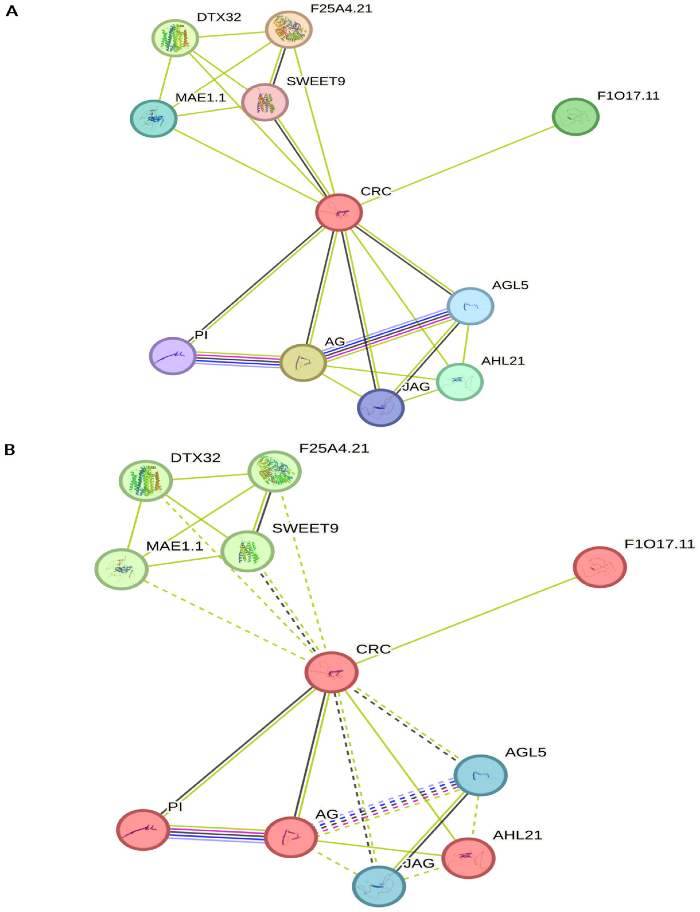Ijms 26 09377 g007 Ijms 26 09377 g007