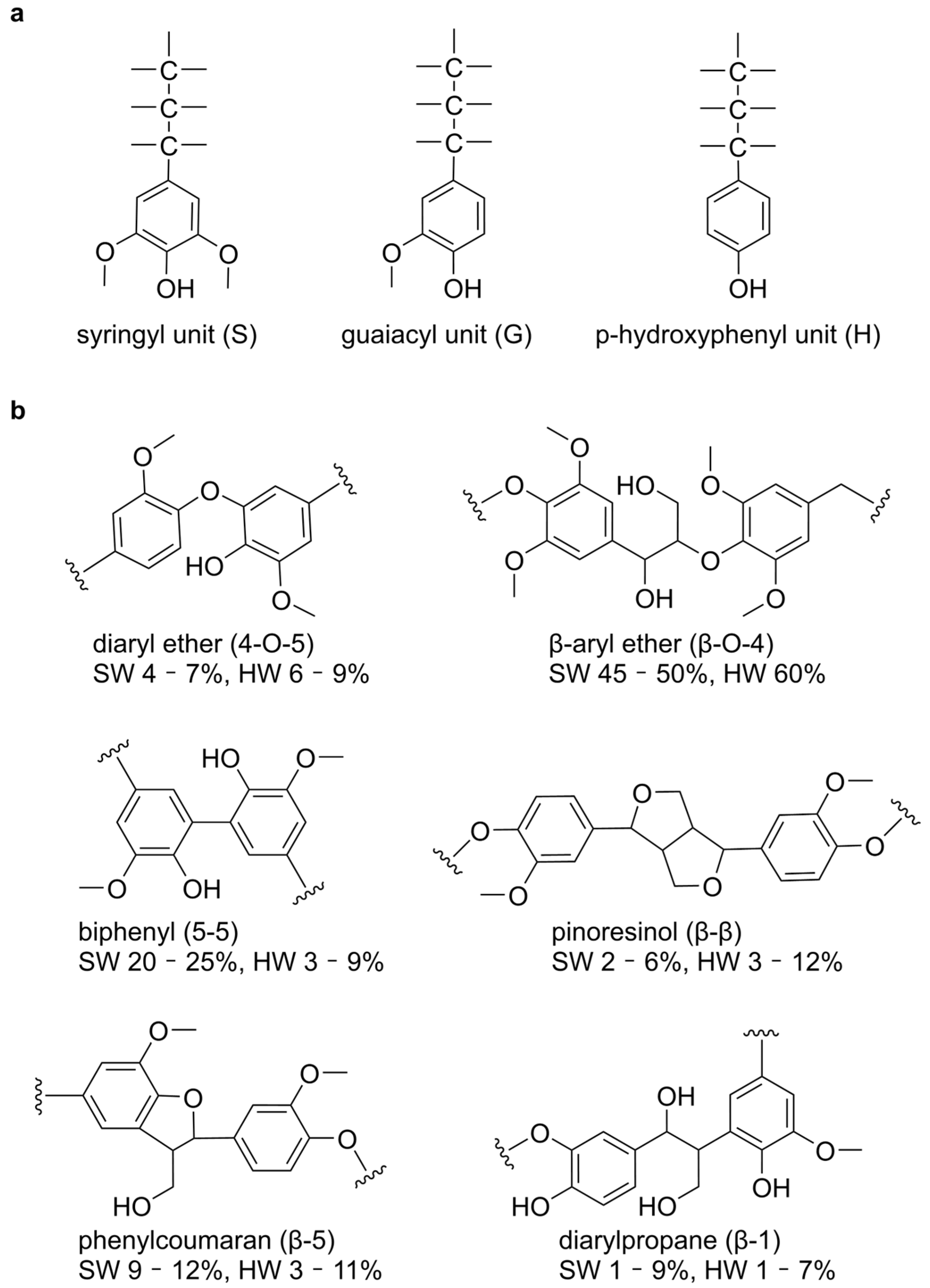 Ijms 26 09378 g001 Ijms 26 09378 g001