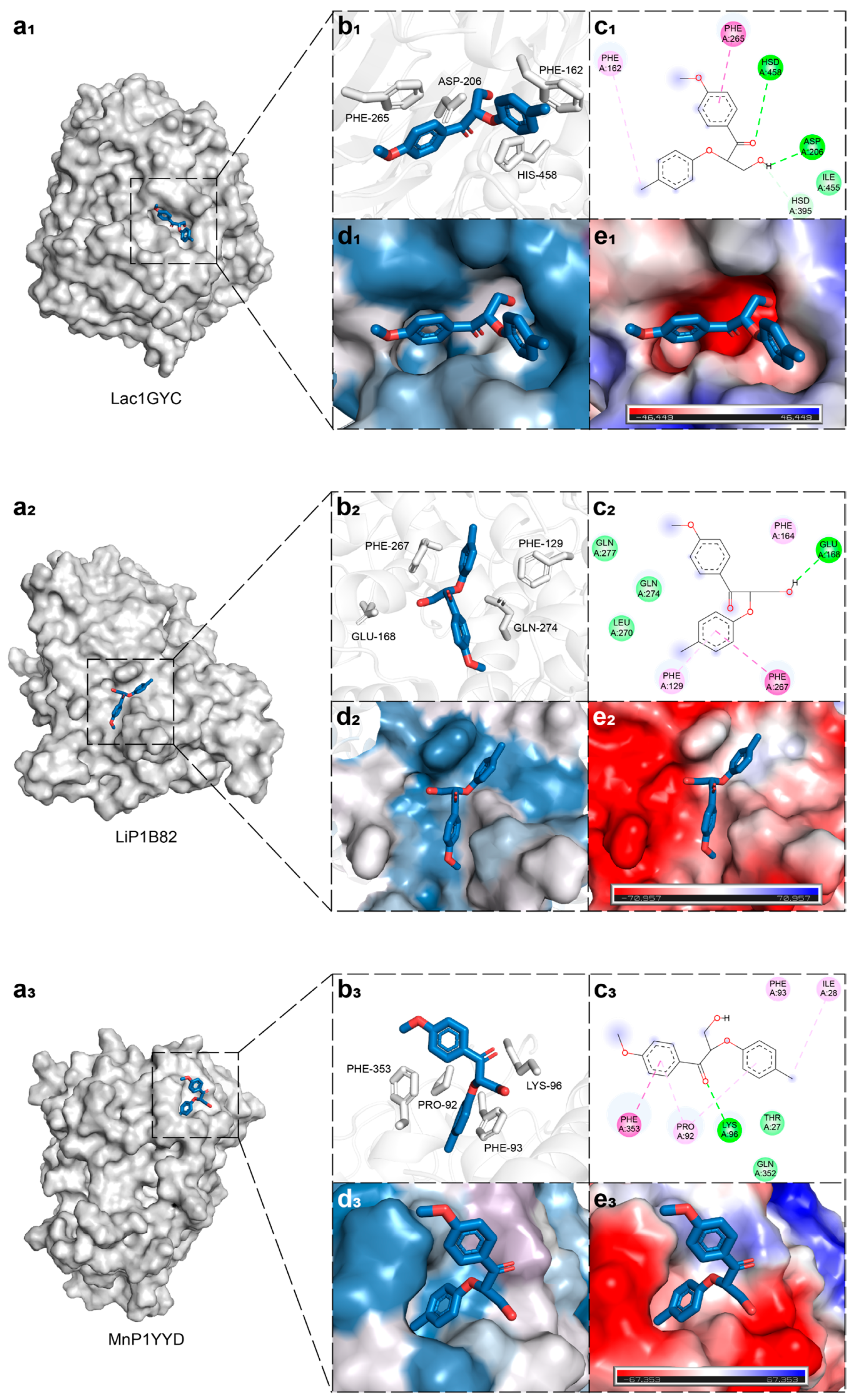 Ijms 26 09378 g002 Ijms 26 09378 g002