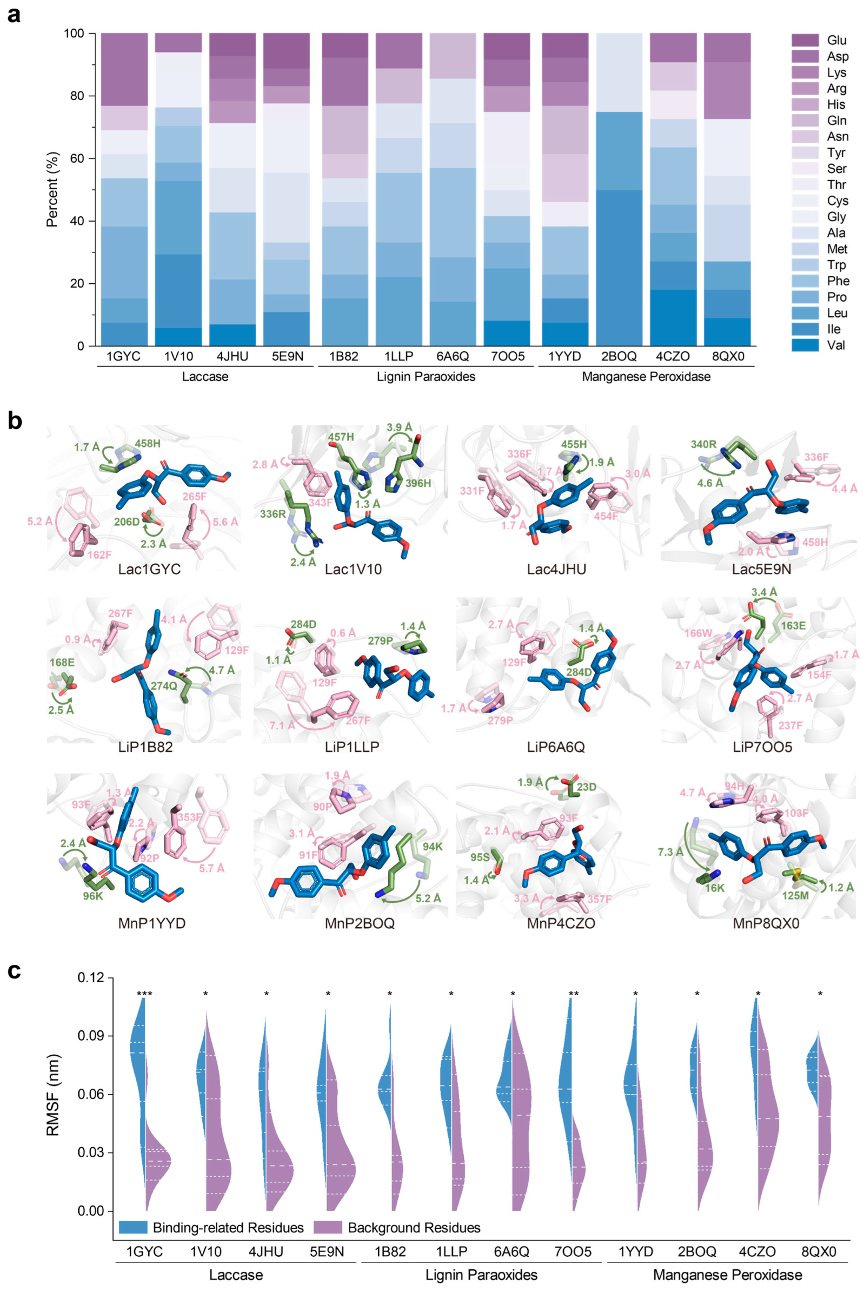 Ijms 26 09378 g005 Ijms 26 09378 g005