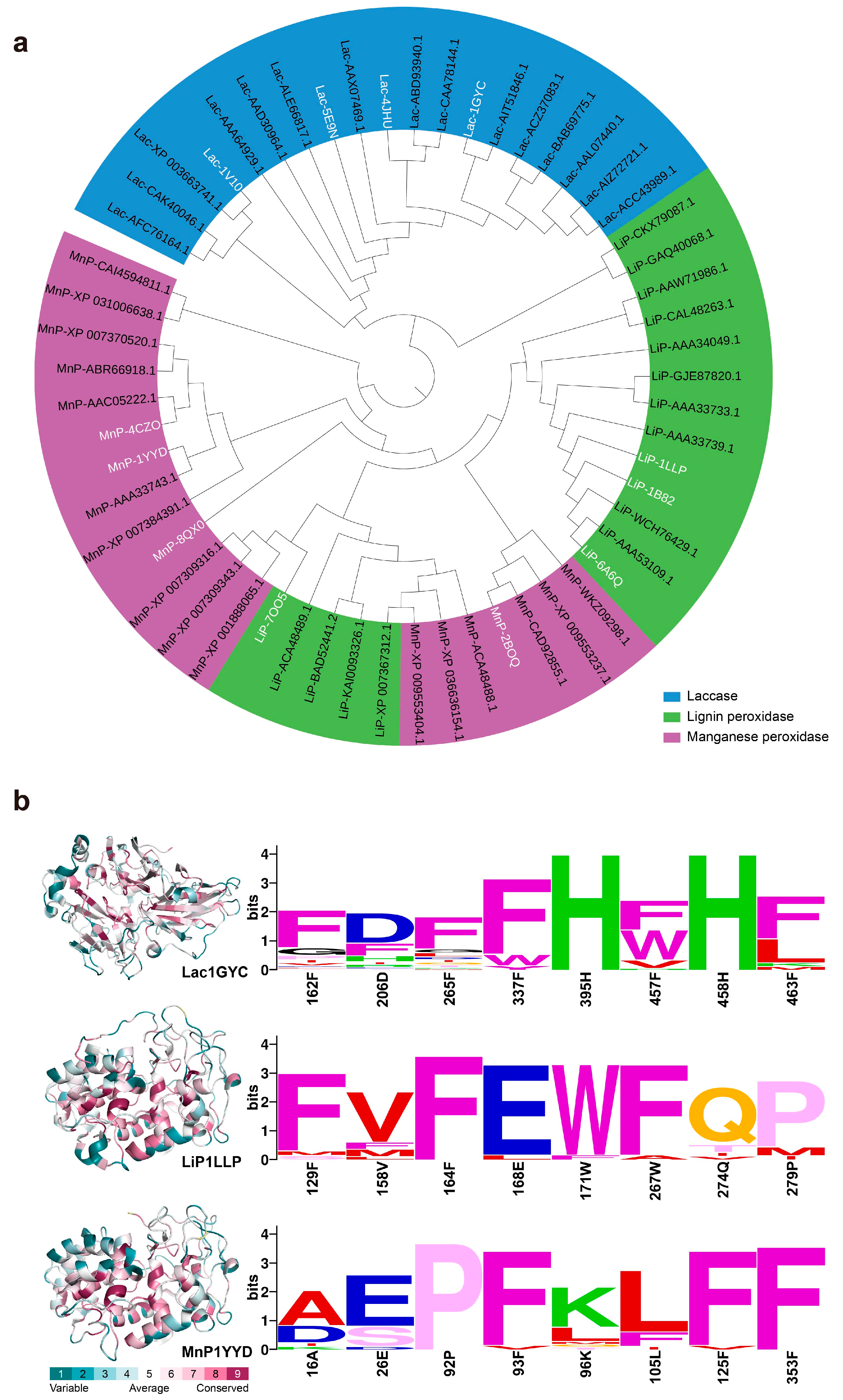 Ijms 26 09378 g006 Ijms 26 09378 g006