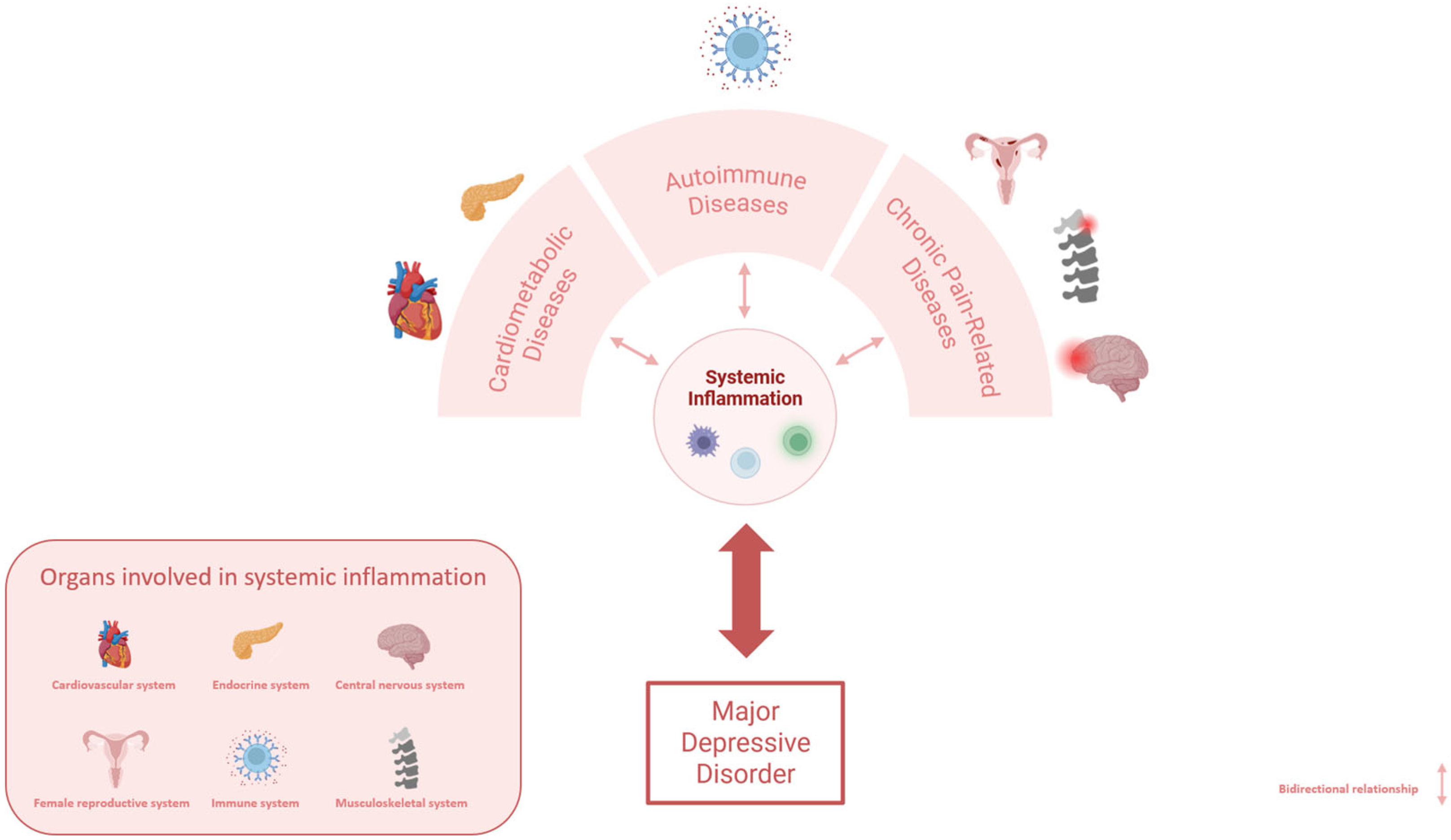 Ijms 26 09382 g001 Ijms 26 09382 g001