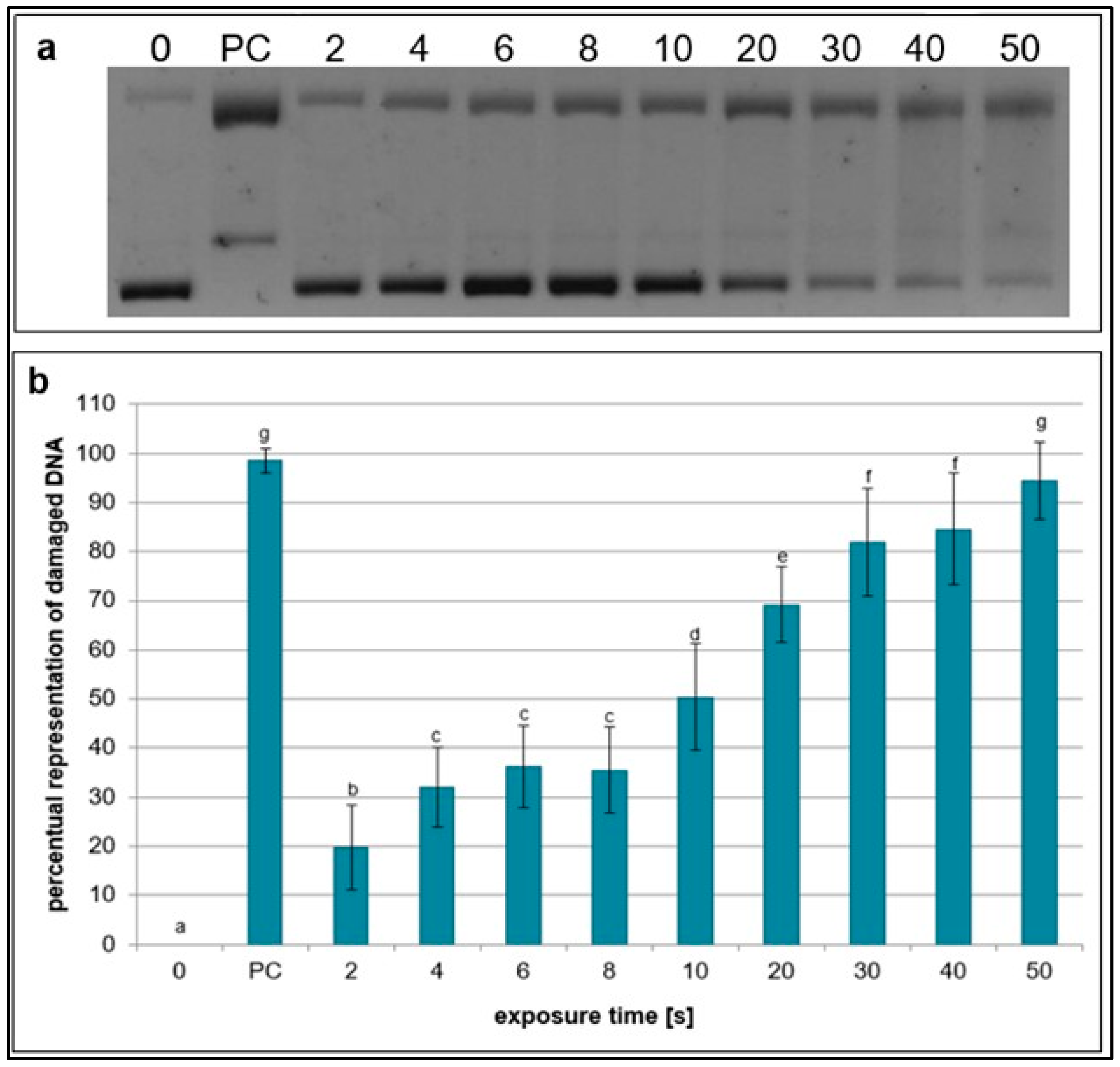Ijms 26 09385 g001 Ijms 26 09385 g001