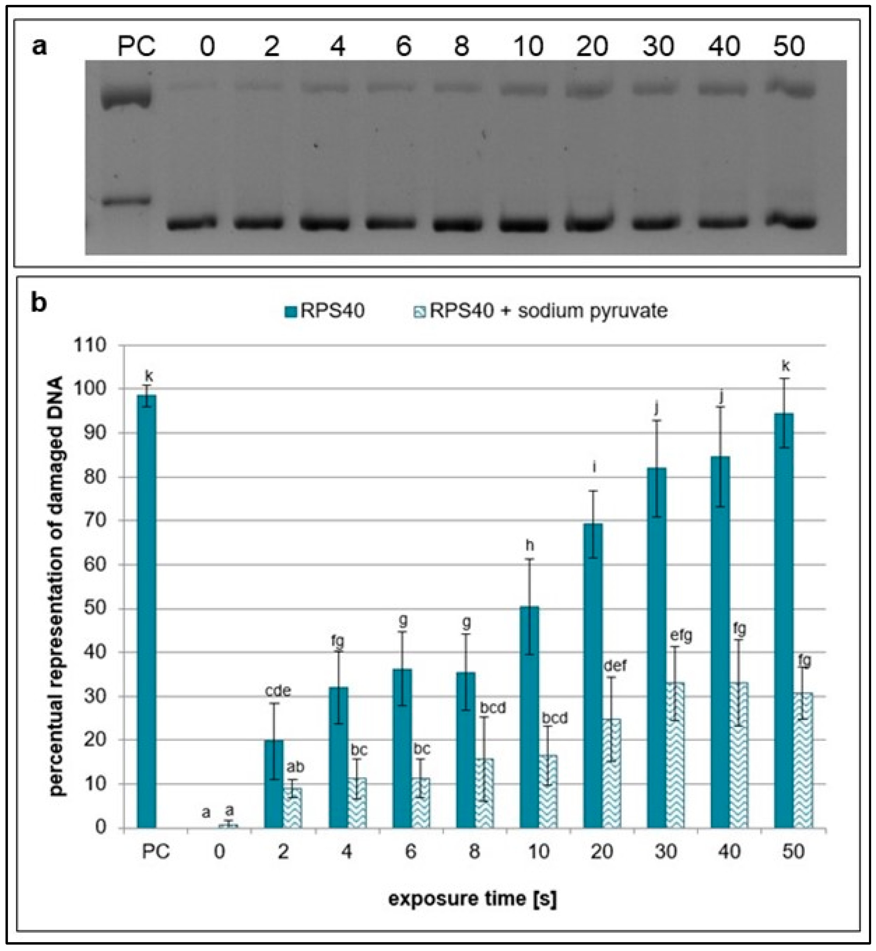 Ijms 26 09385 g002 Ijms 26 09385 g002