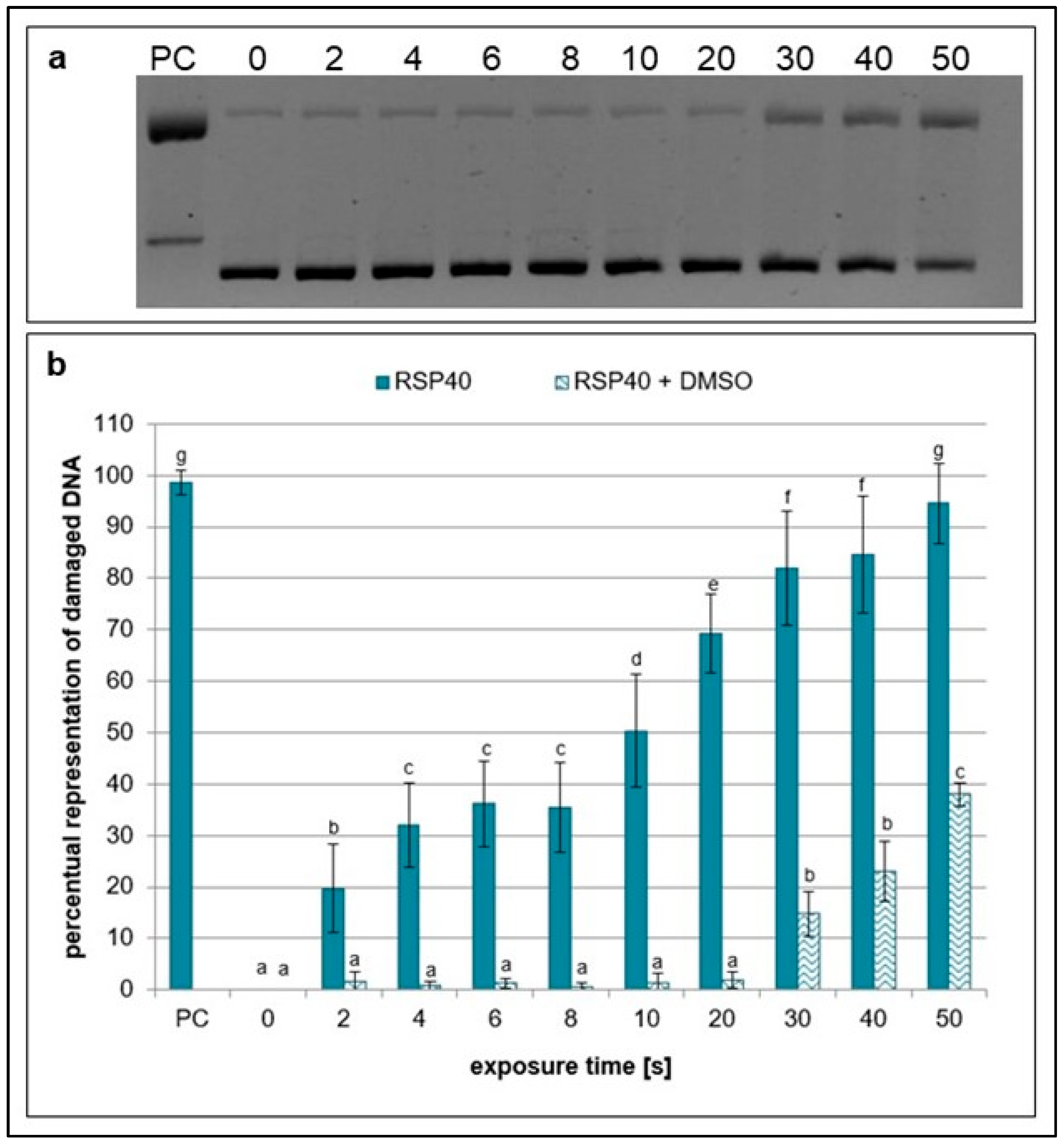Ijms 26 09385 g004 Ijms 26 09385 g004