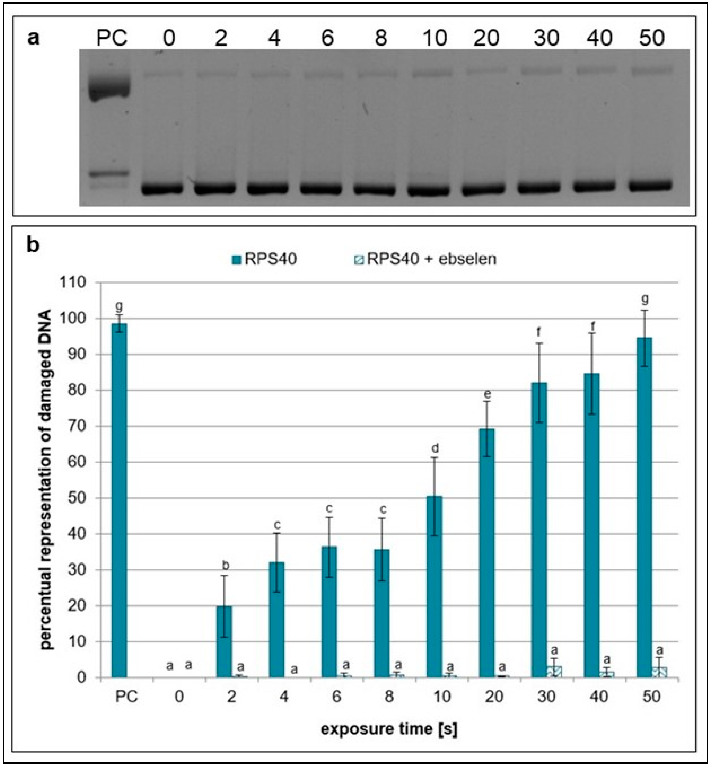 Ijms 26 09385 g005 Ijms 26 09385 g005
