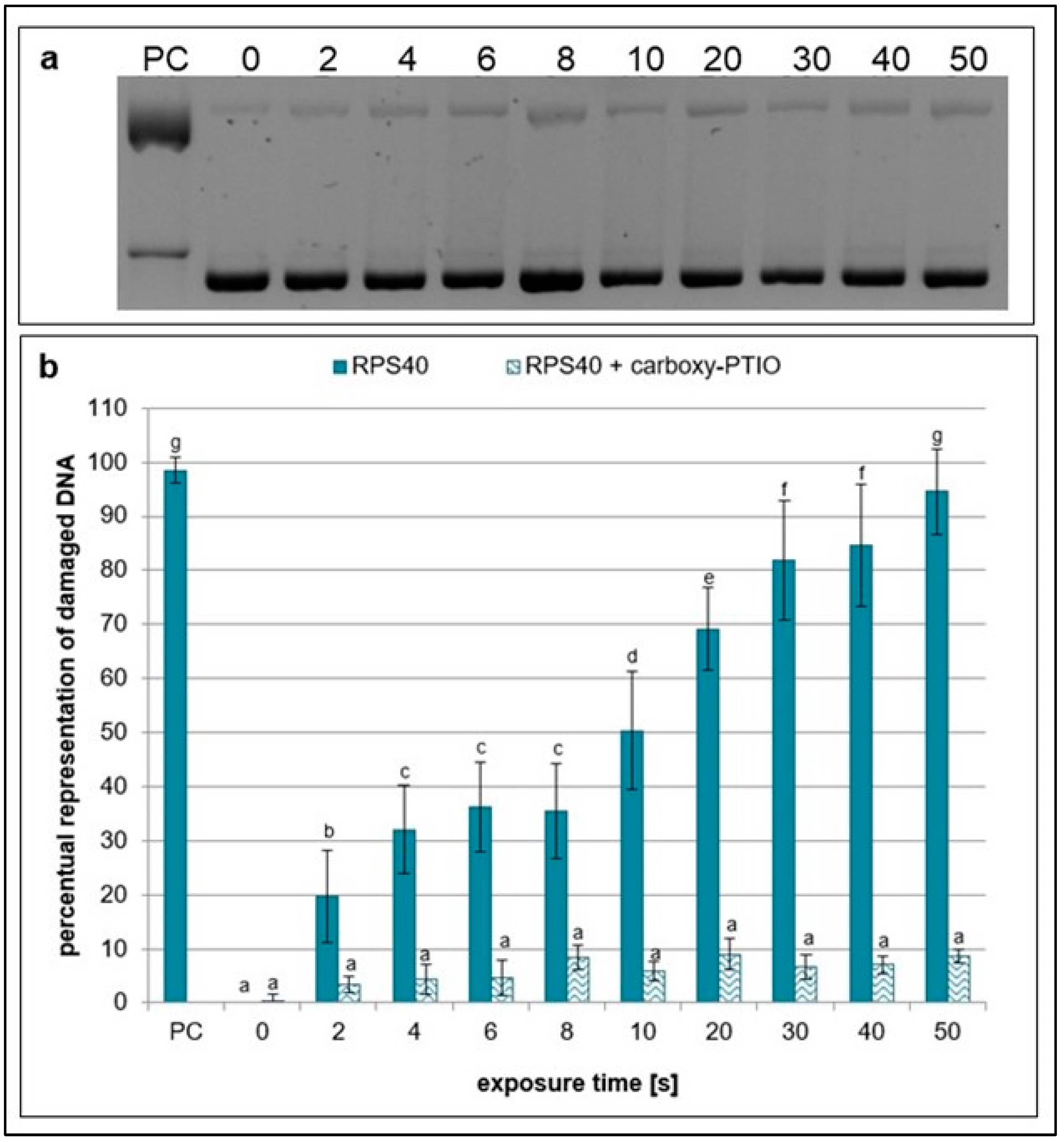 Ijms 26 09385 g006 Ijms 26 09385 g006