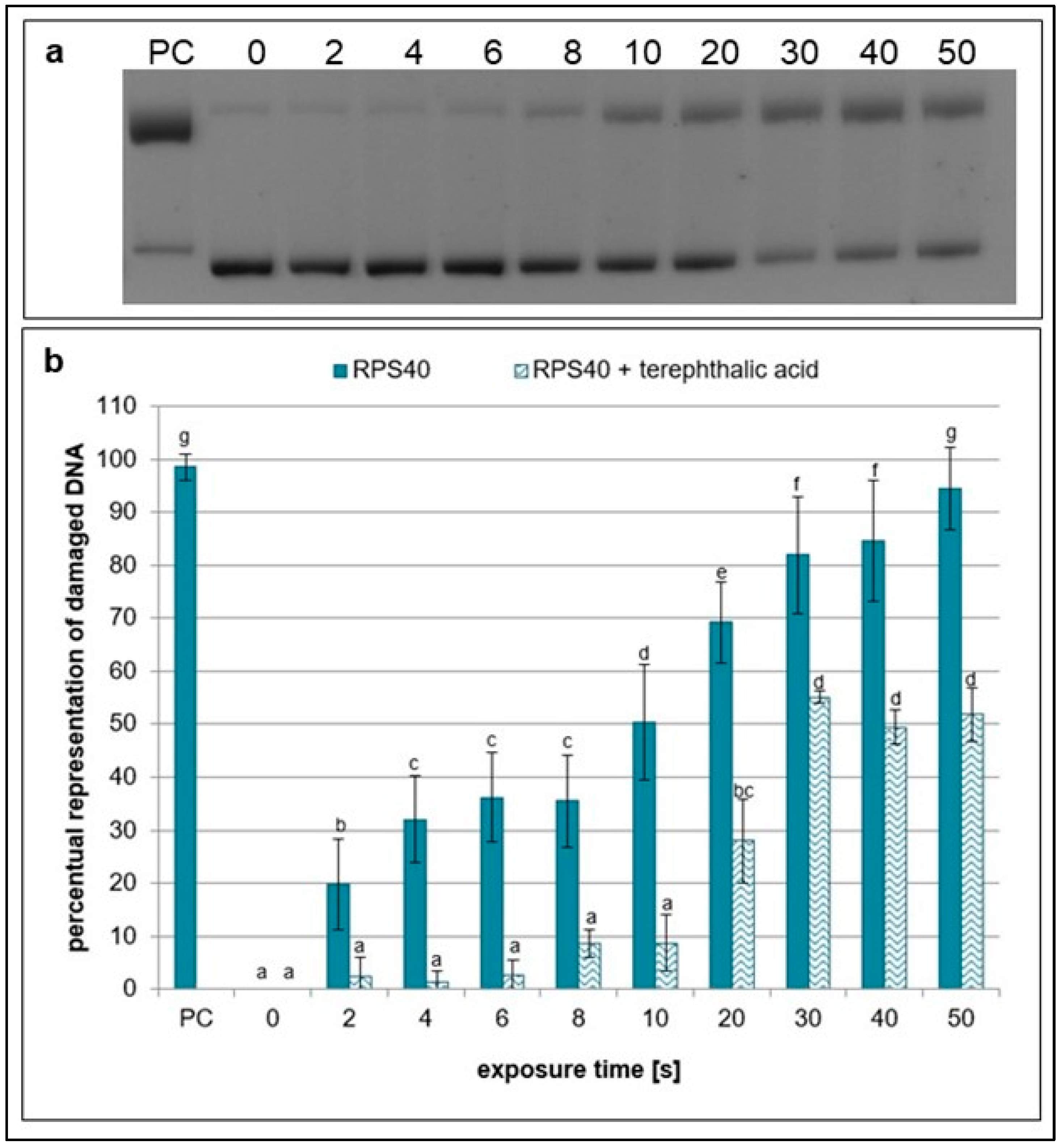 Ijms 26 09385 g008 Ijms 26 09385 g008