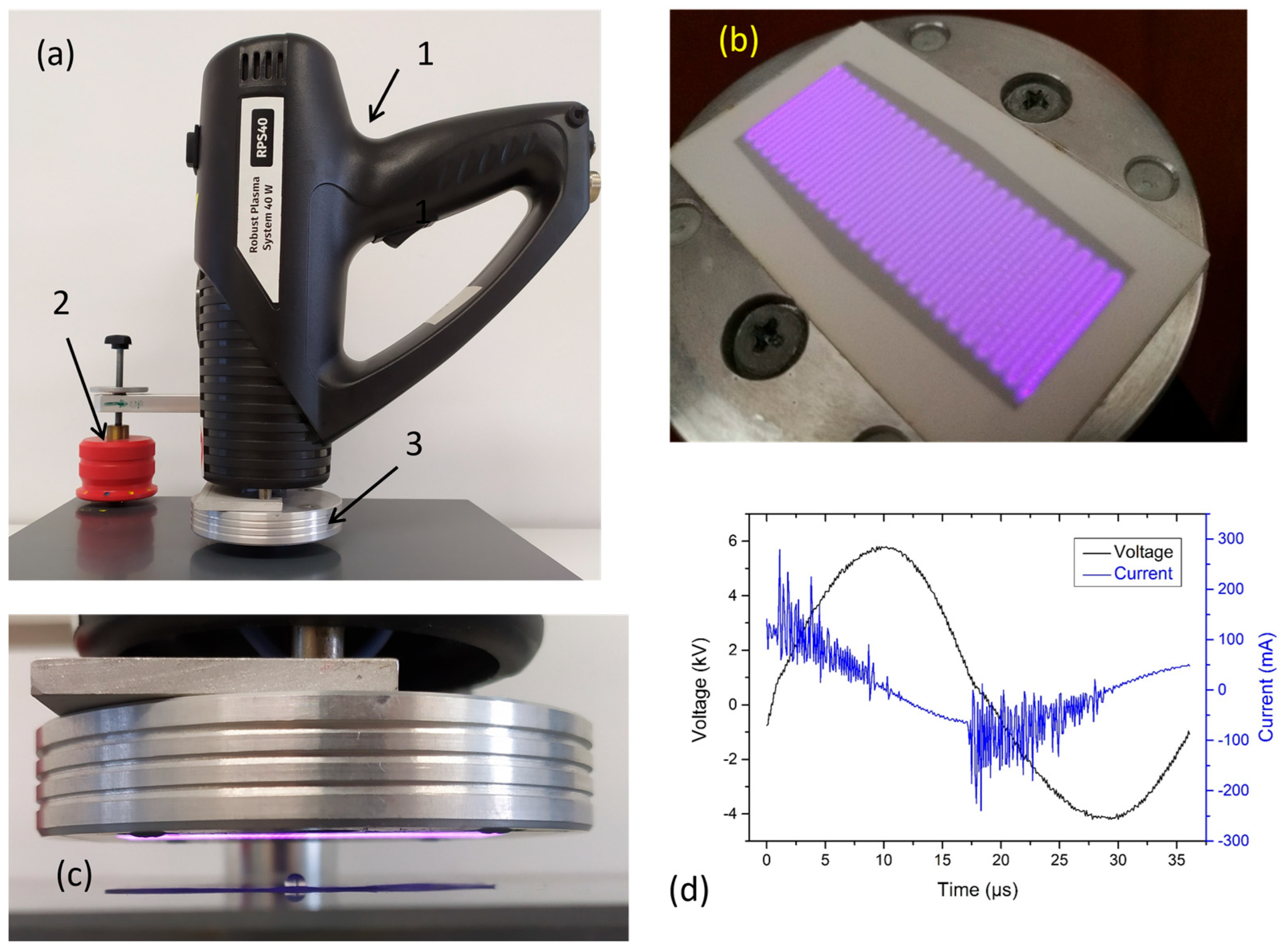 Ijms 26 09385 g013 Ijms 26 09385 g013