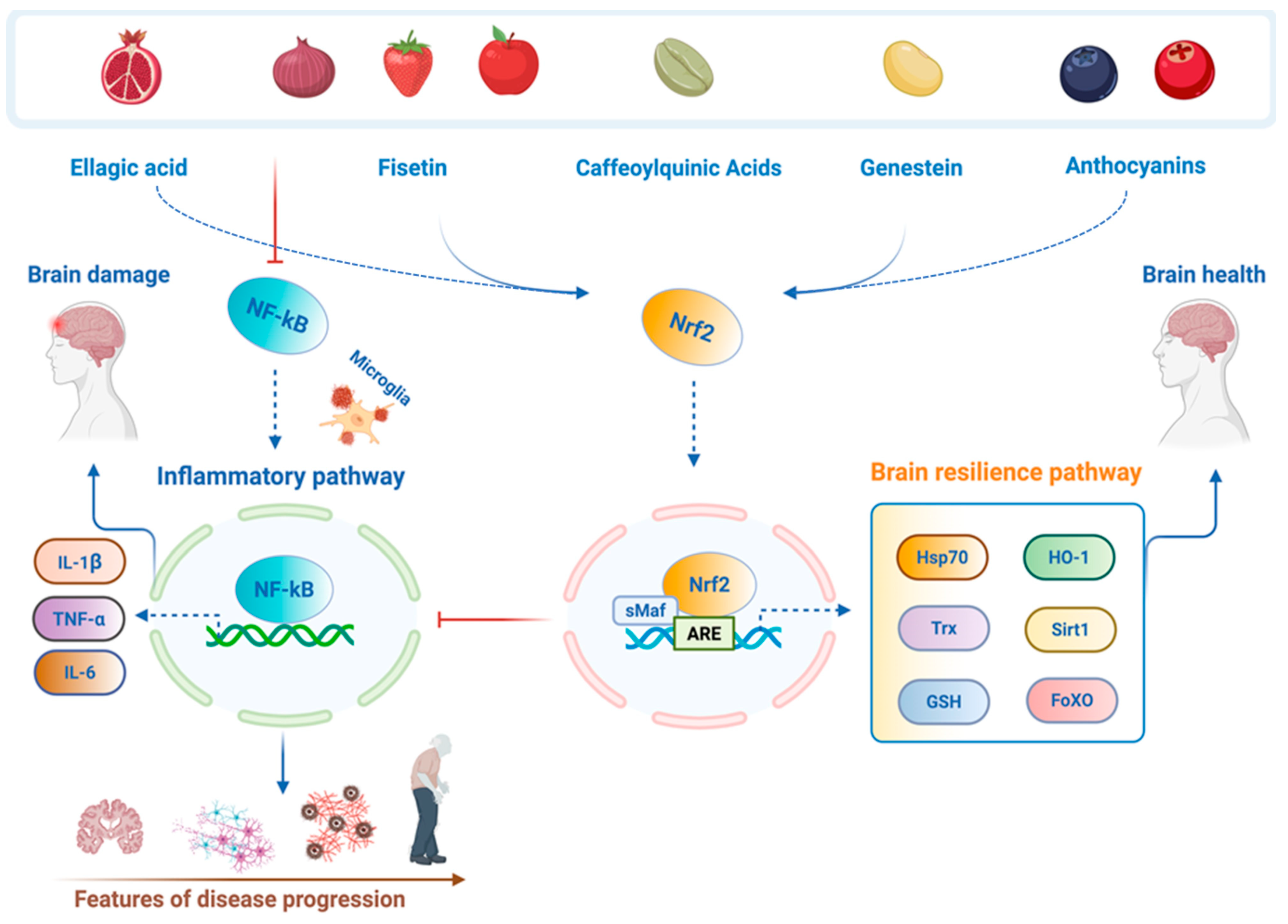 Ijms 26 09391 g001 Ijms 26 09391 g001