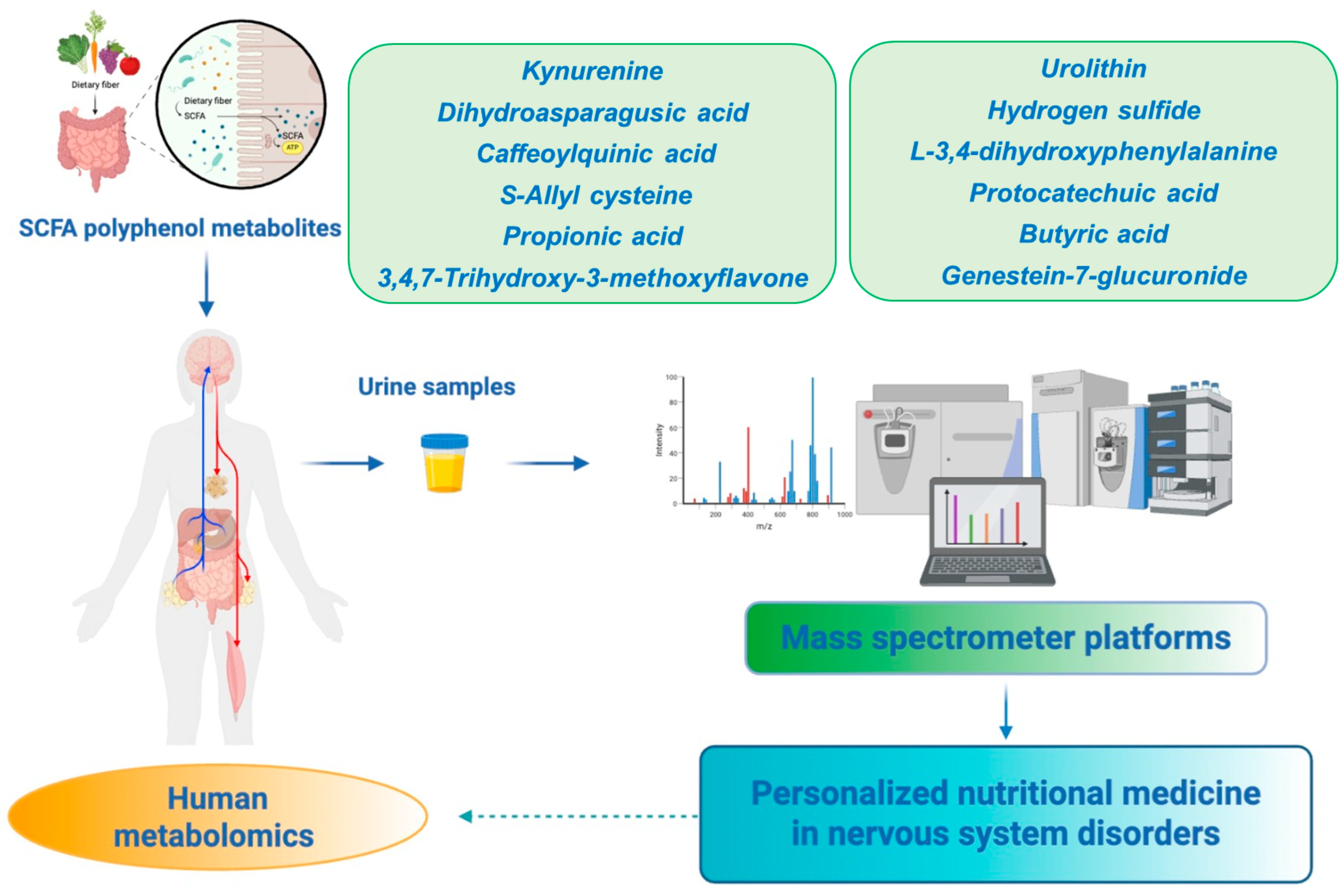 Ijms 26 09391 g003 Ijms 26 09391 g003