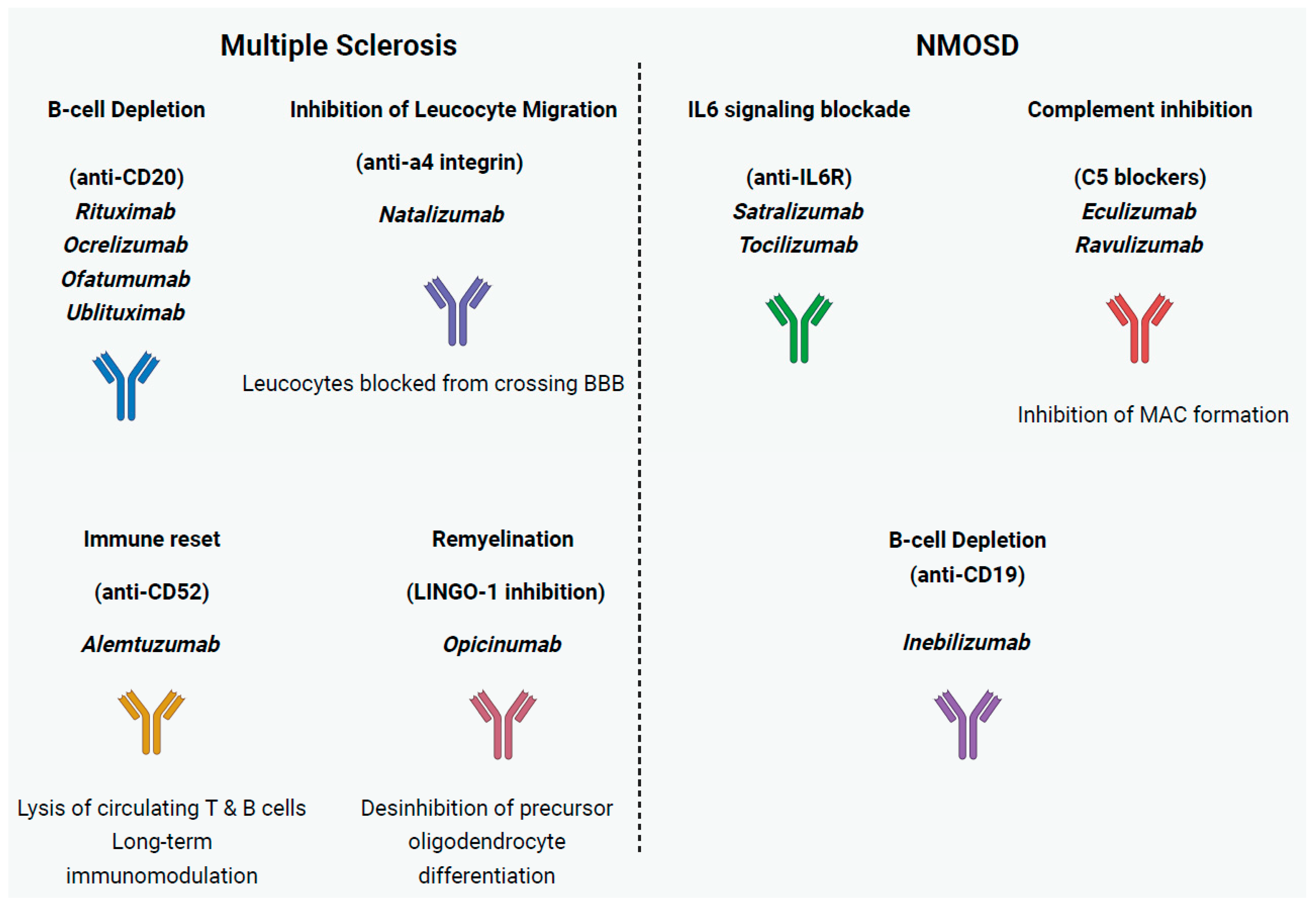 Ijms 26 09398 g001 Ijms 26 09398 g001