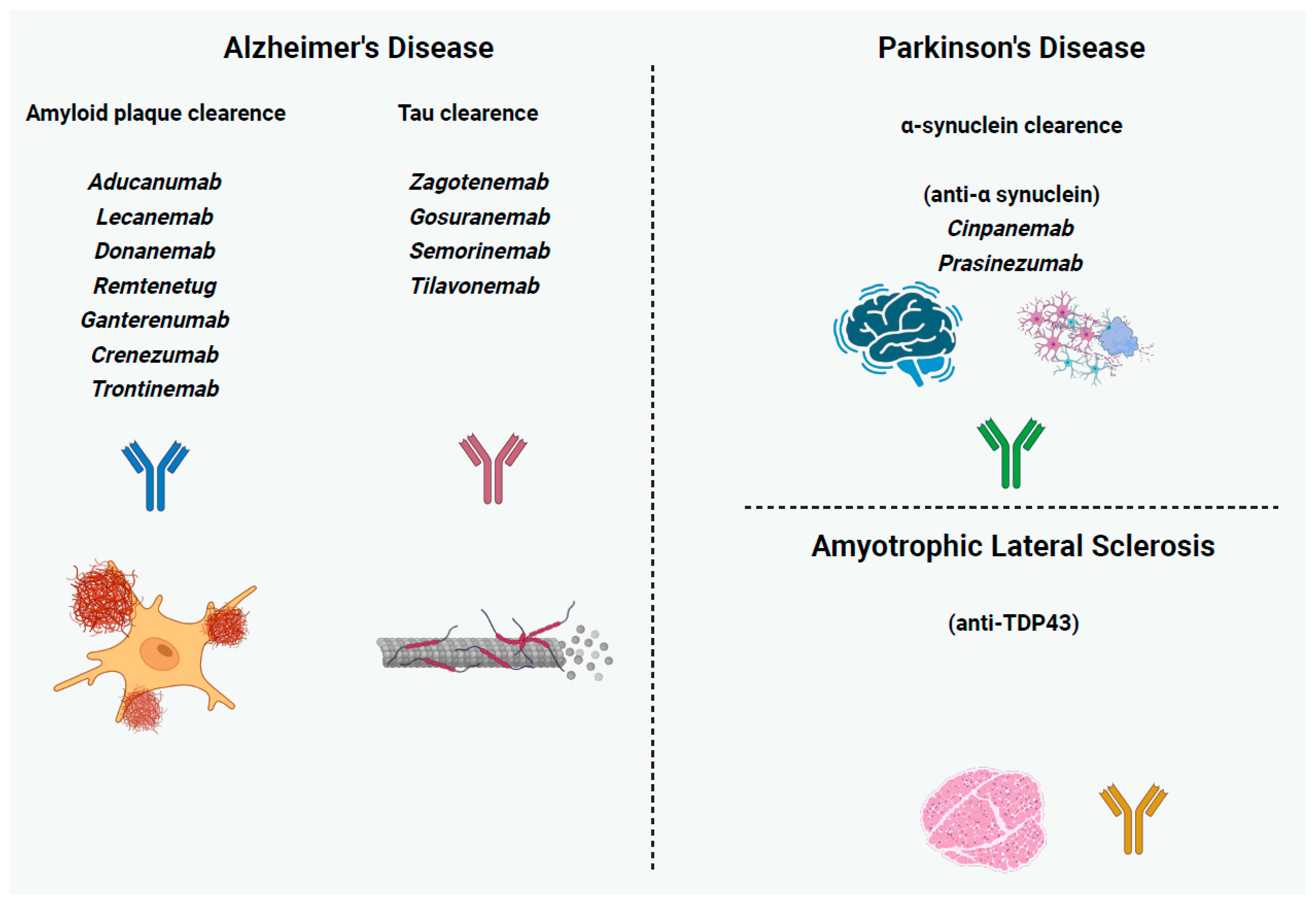 Ijms 26 09398 g002 Ijms 26 09398 g002