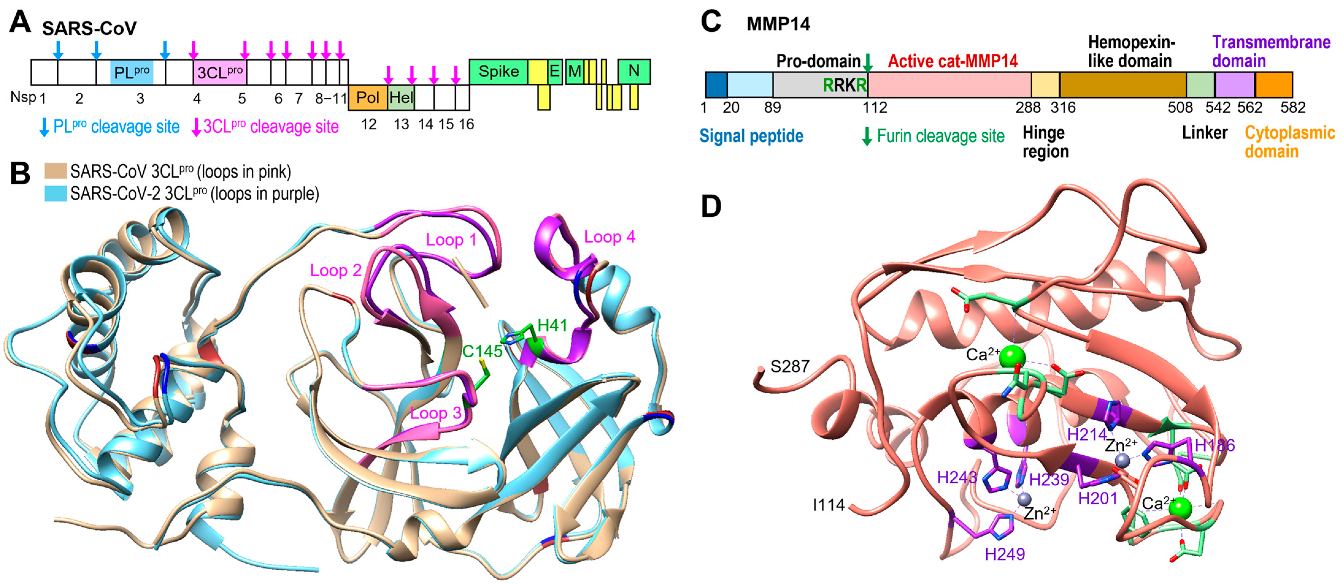 Ijms 26 09401 g001 Ijms 26 09401 g001