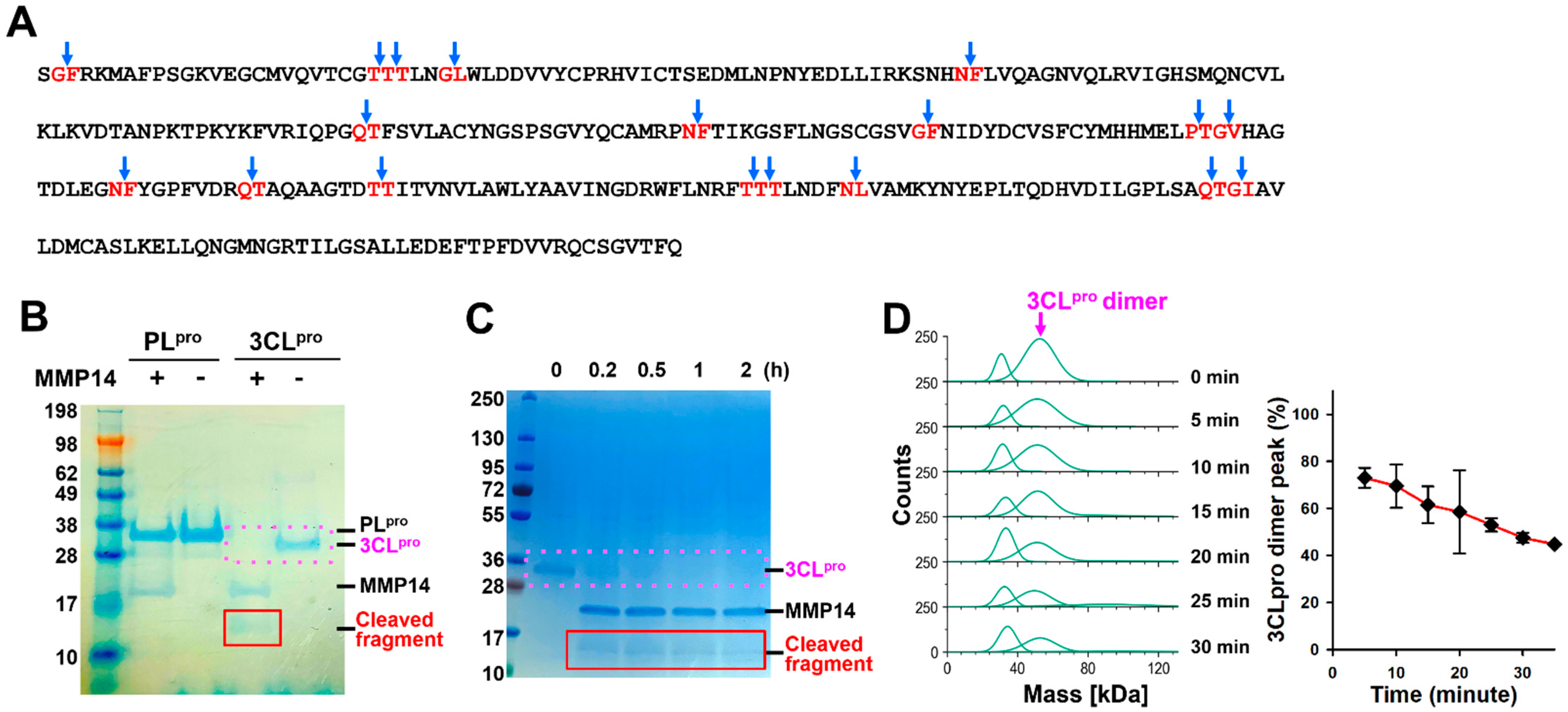 Ijms 26 09401 g002 Ijms 26 09401 g002