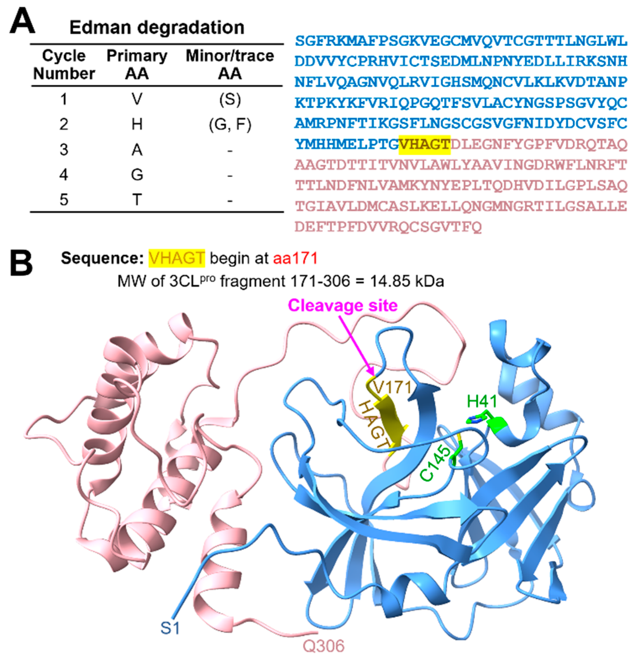 Ijms 26 09401 g003 Ijms 26 09401 g003