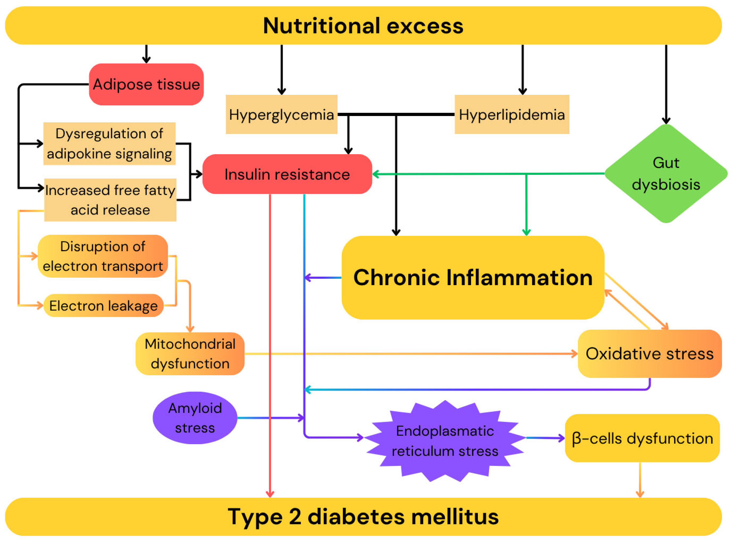 Ijms 26 09402 g002 Ijms 26 09402 g002