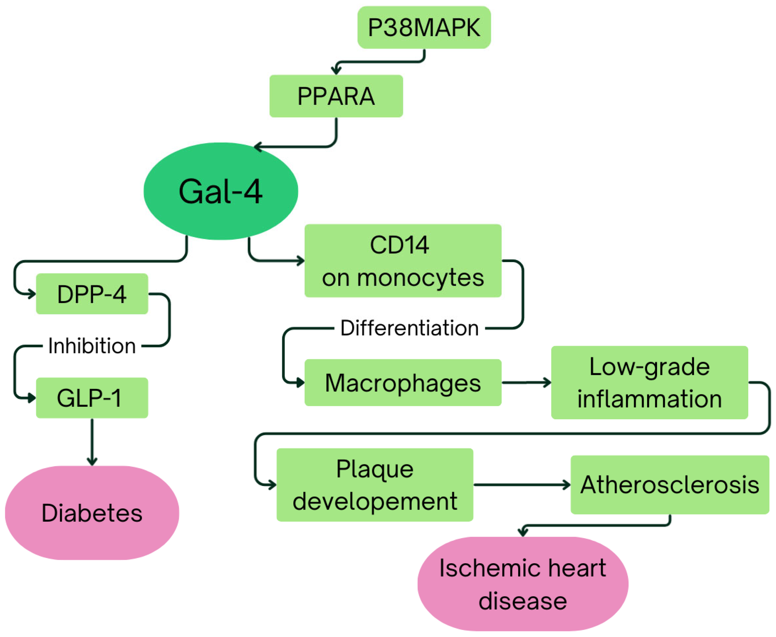Ijms 26 09402 g004 Ijms 26 09402 g004