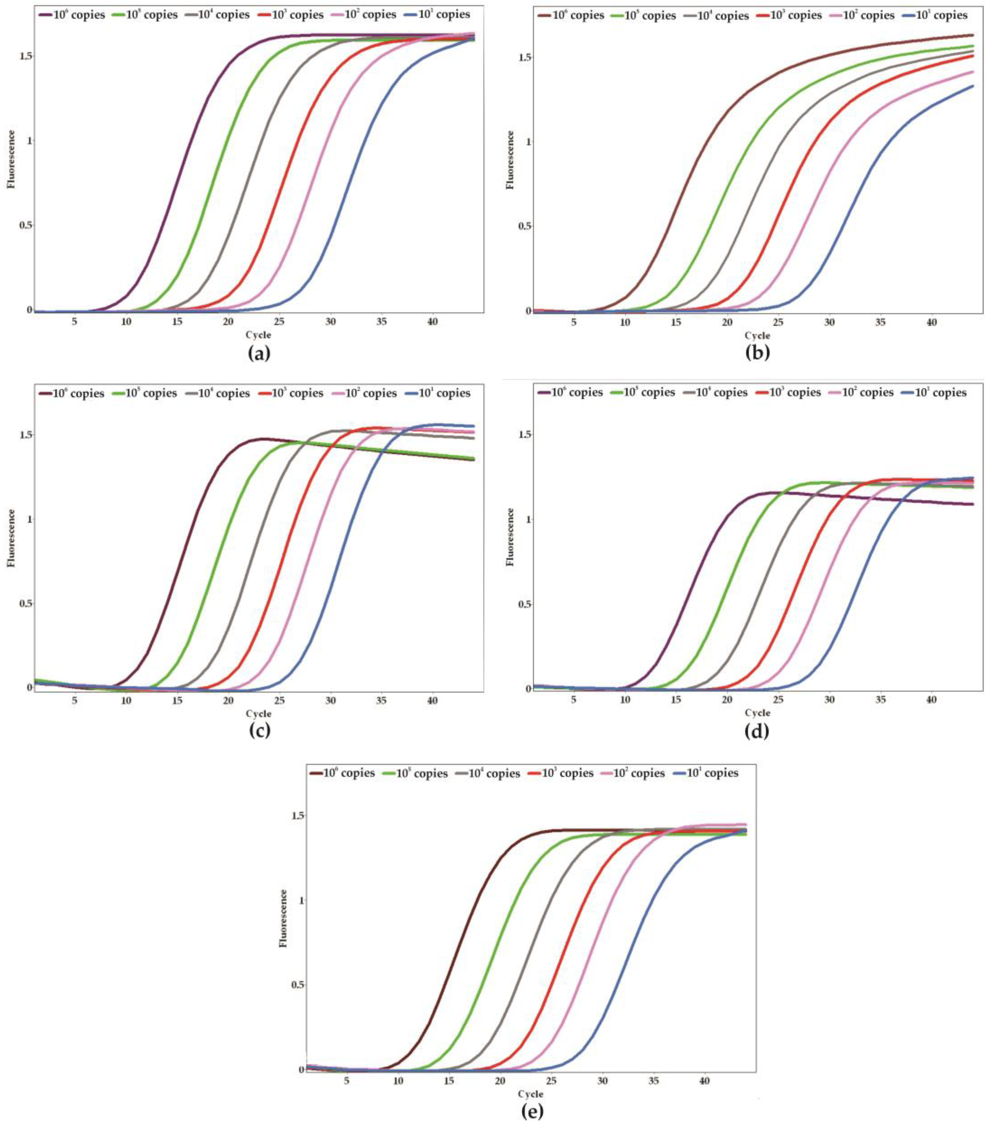 Ijms 26 09411 g003 Ijms 26 09411 g003