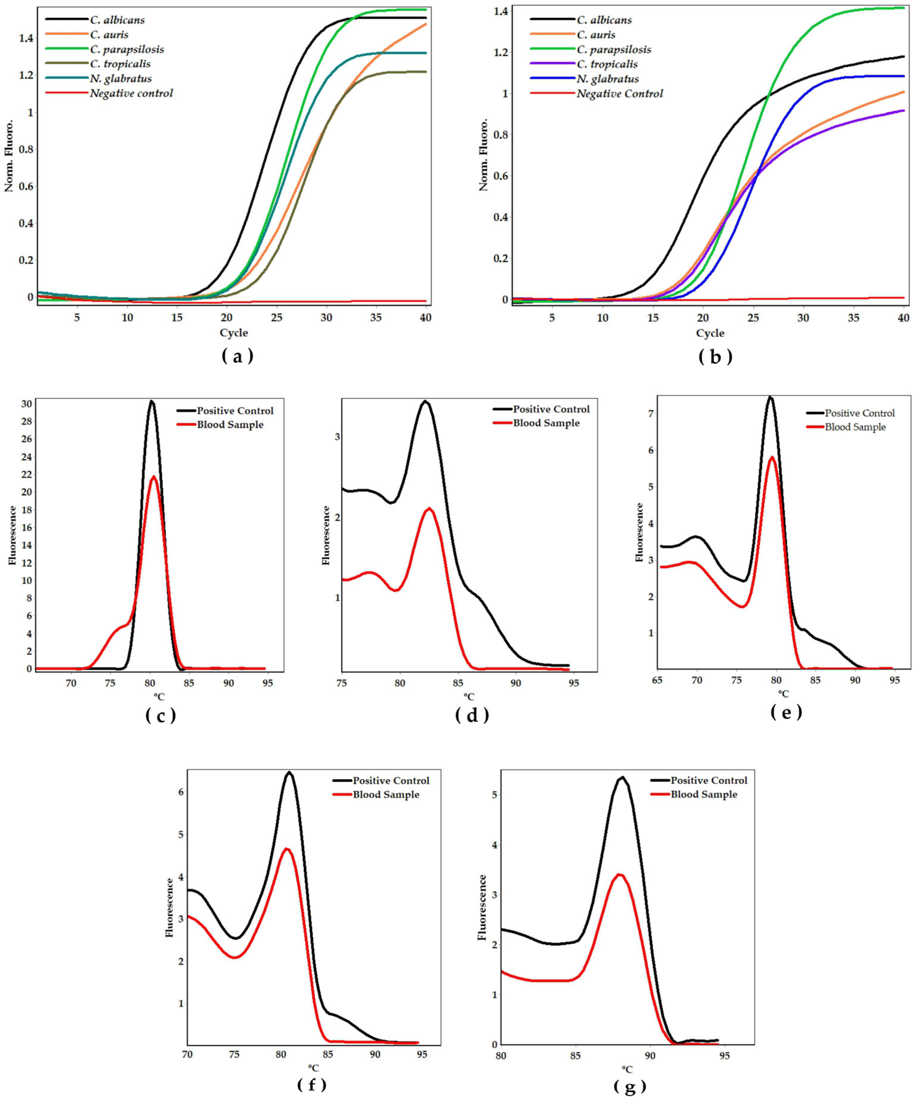 Ijms 26 09411 g005 Ijms 26 09411 g005