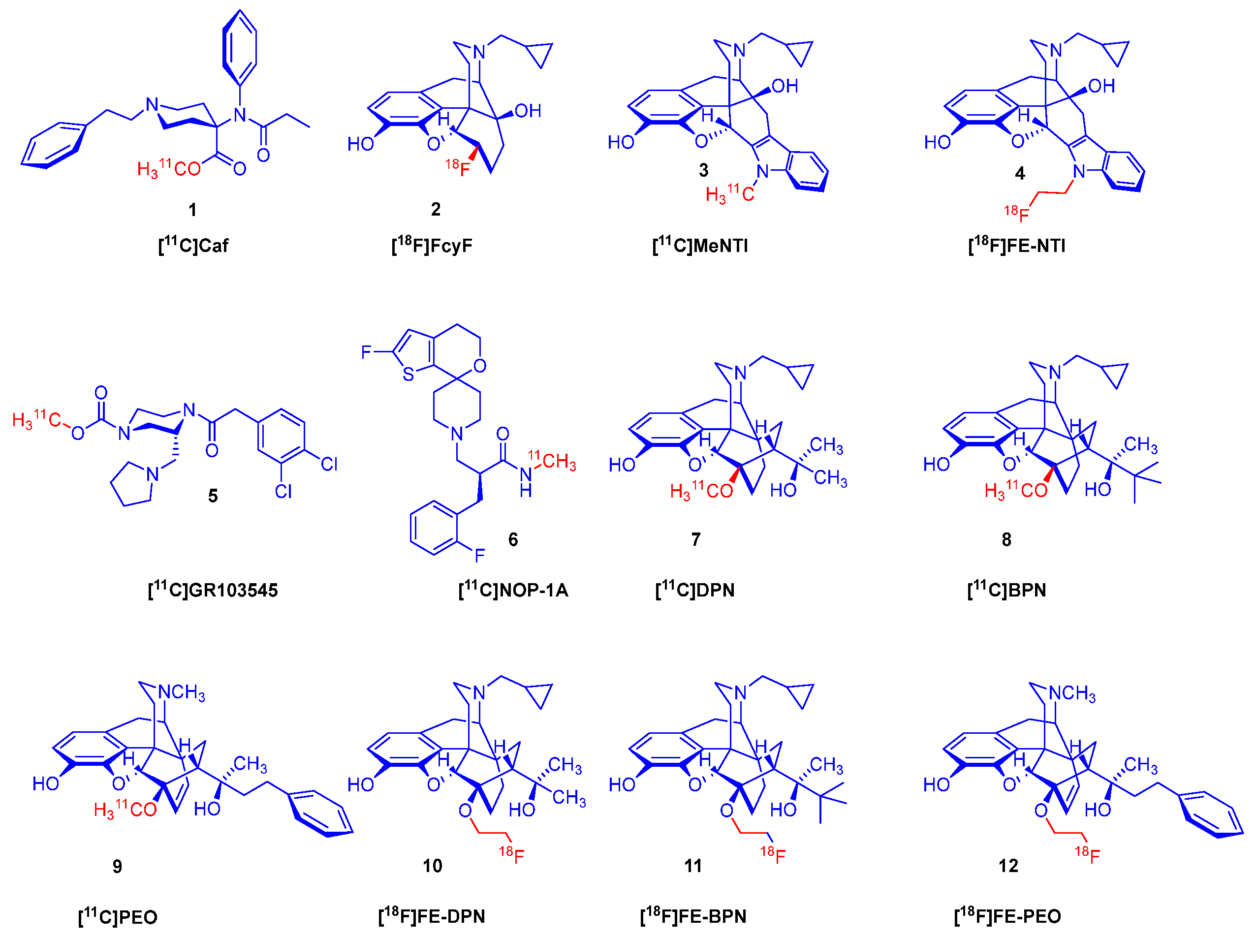 Ijms 26 09427 g001 Ijms 26 09427 g001