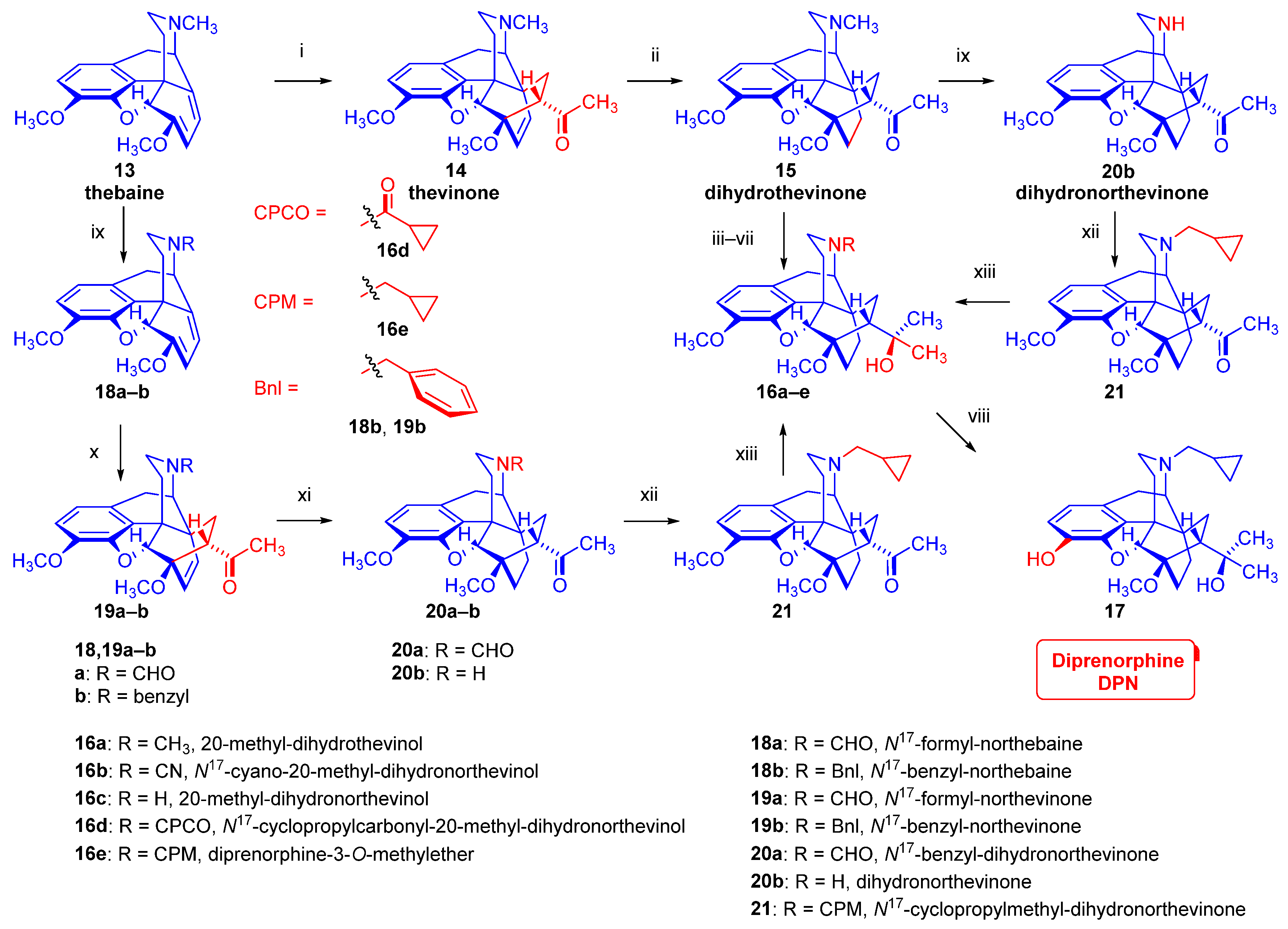 Ijms 26 09427 g003 Ijms 26 09427 g003