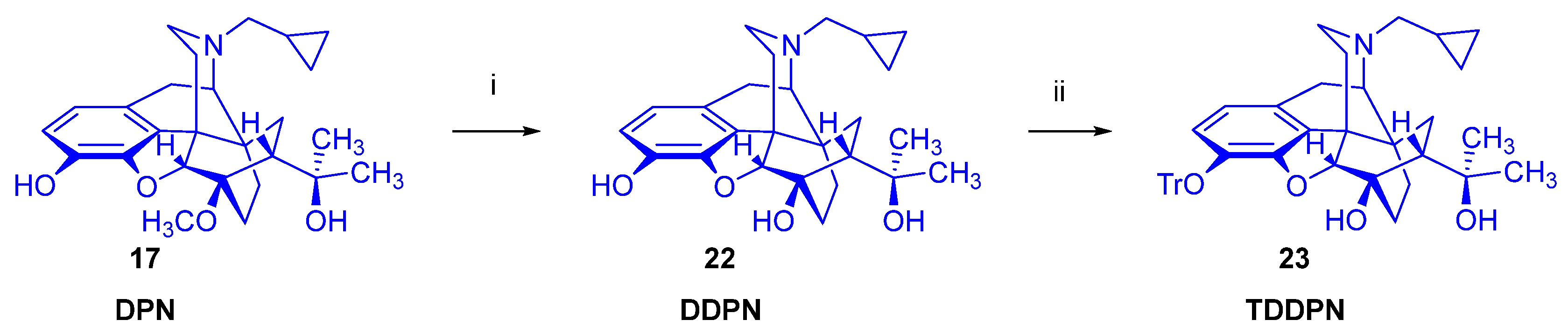 Ijms 26 09427 g004 Ijms 26 09427 g004