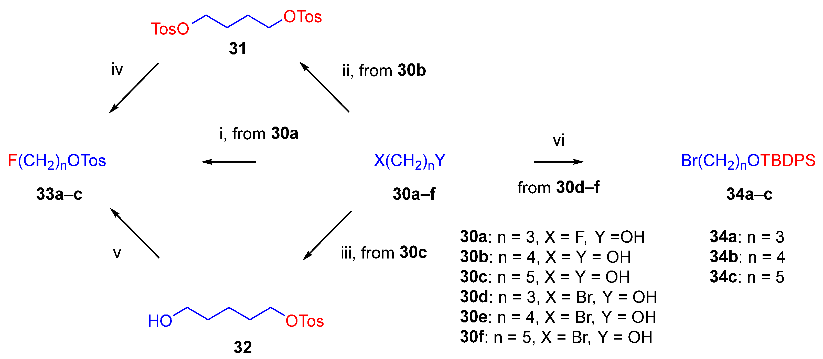 Ijms 26 09427 g006 Ijms 26 09427 g006
