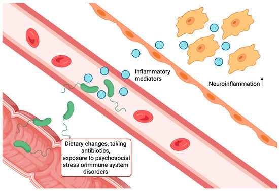 Alzheimer's Disease: From Molecular Mechanisms to Promising Therapeutic Strategies