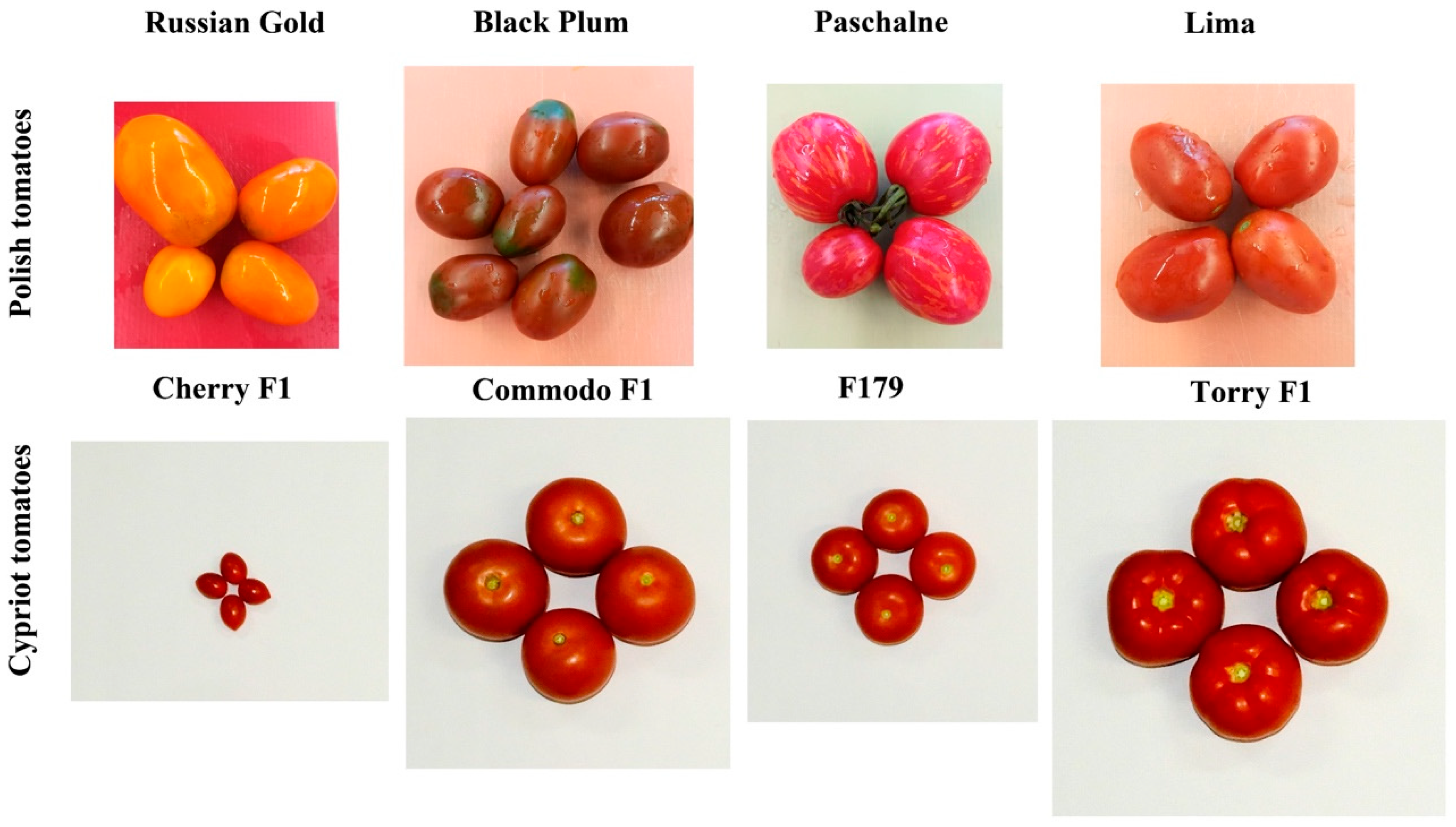 Ijms 26 09446 g008 Ijms 26 09446 g008