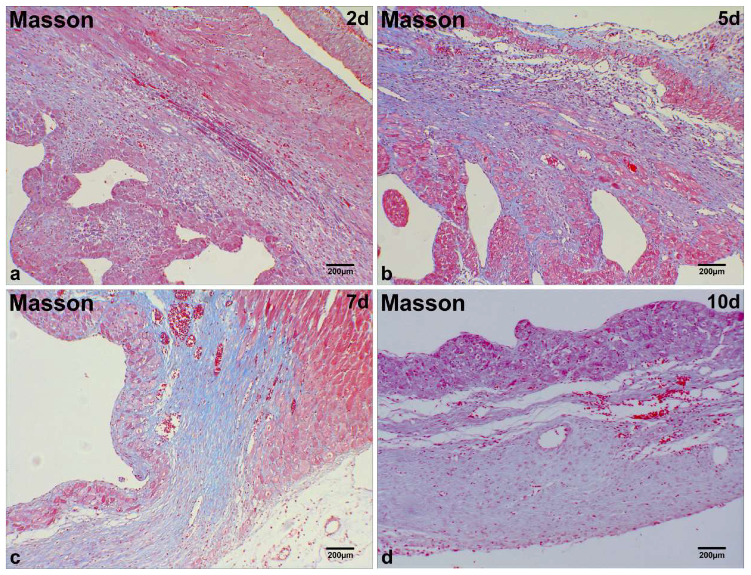 Ijms 26 09456 g002 Ijms 26 09456 g002