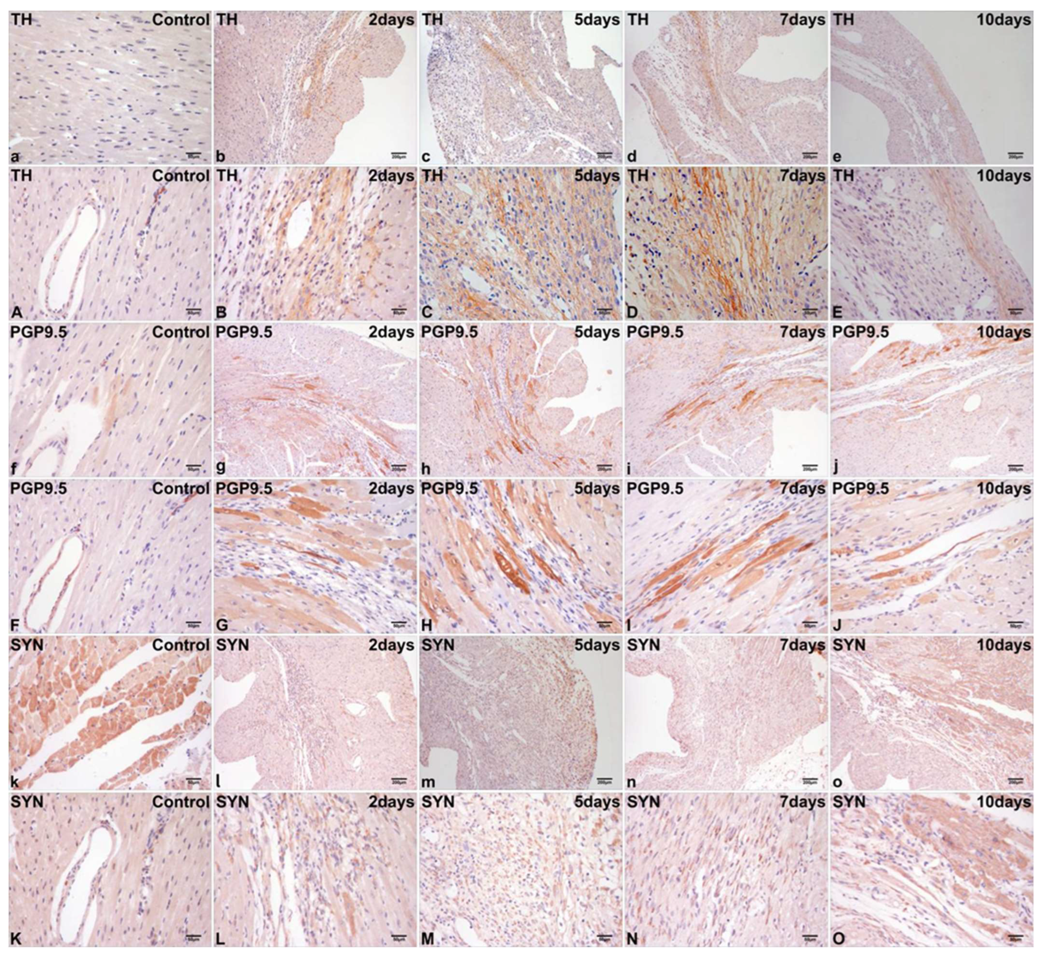 Ijms 26 09456 g003 Ijms 26 09456 g003