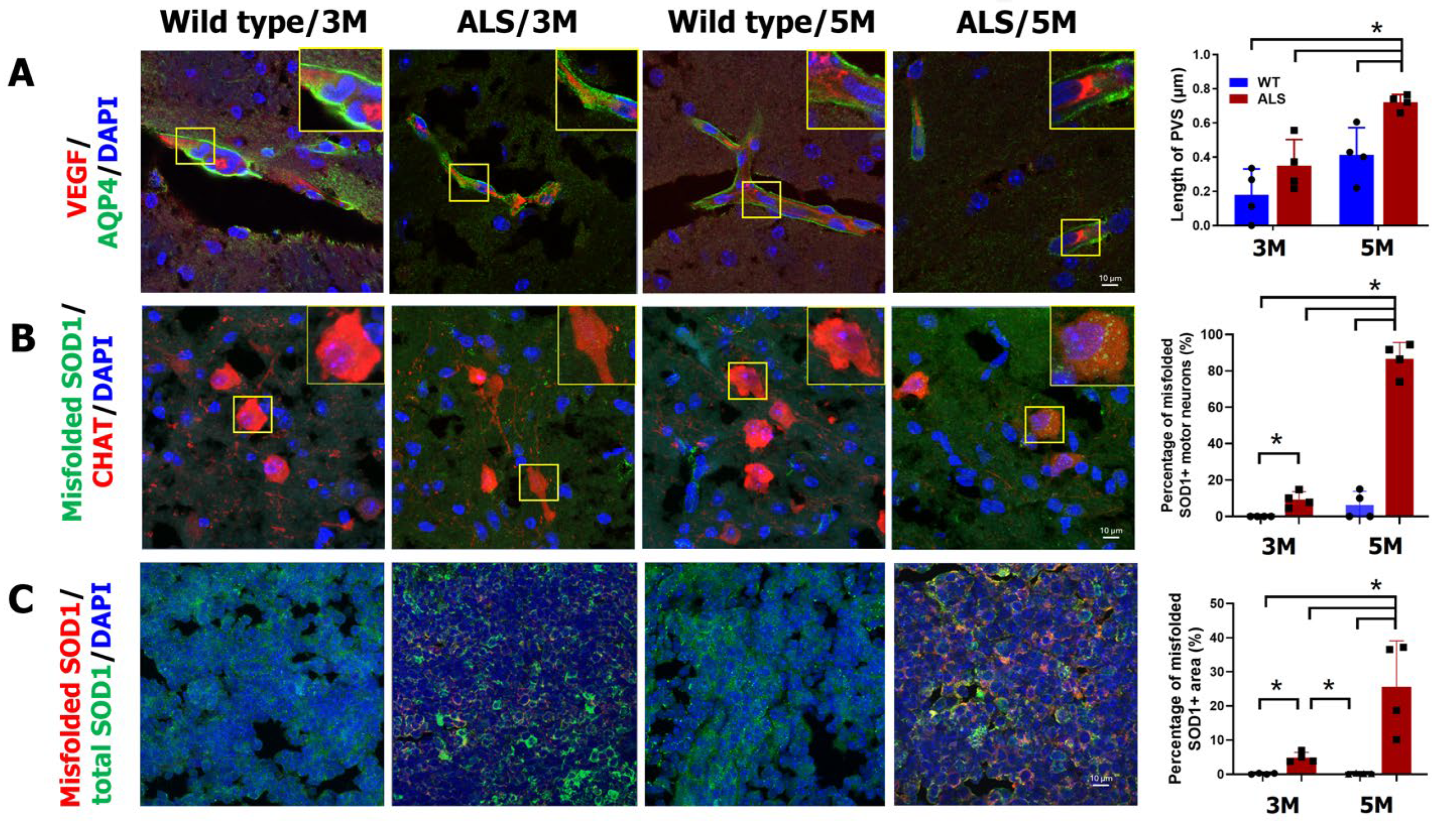 Ijms 26 09474 g001 Ijms 26 09474 g001