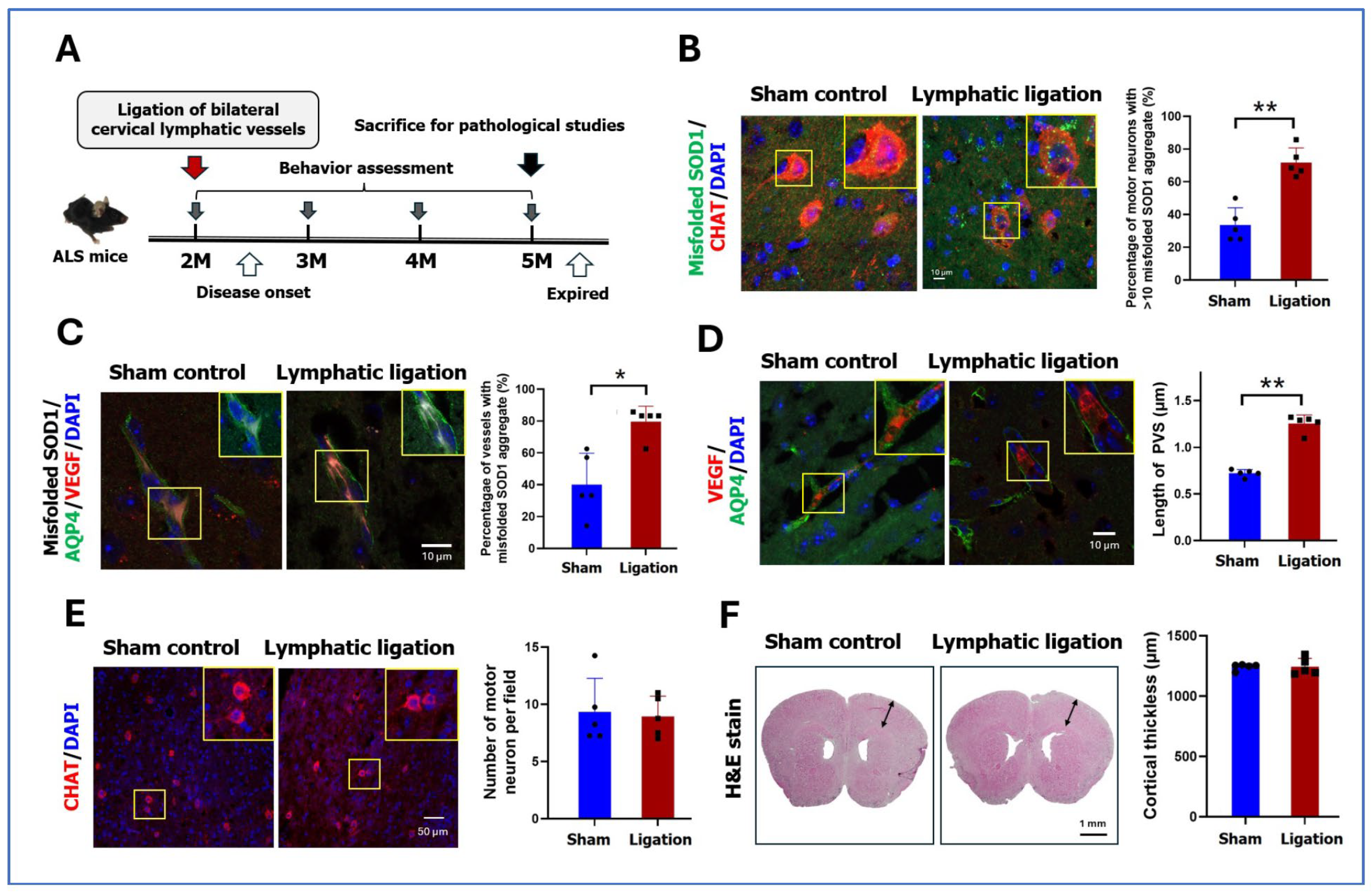 Ijms 26 09474 g002 Ijms 26 09474 g002